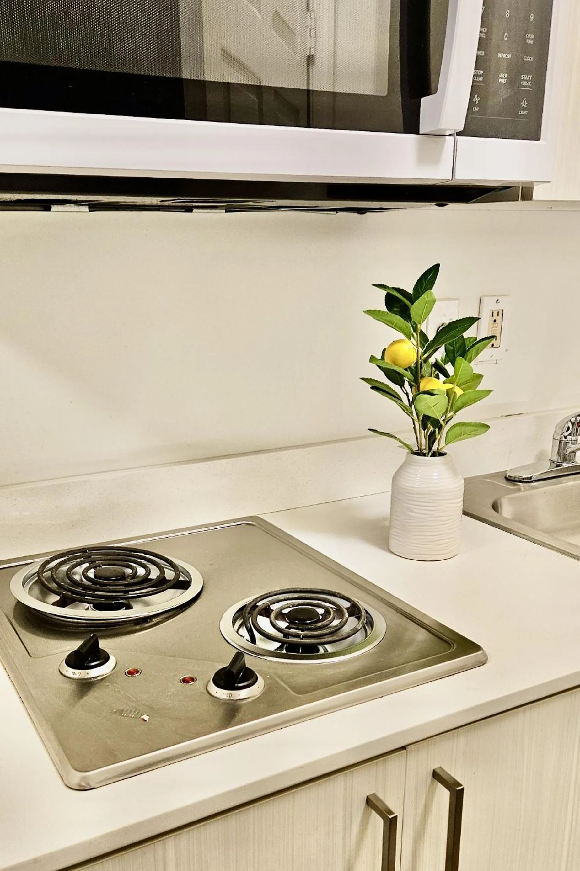 Kitchen or kitchenette in Siegel Select Orange Park