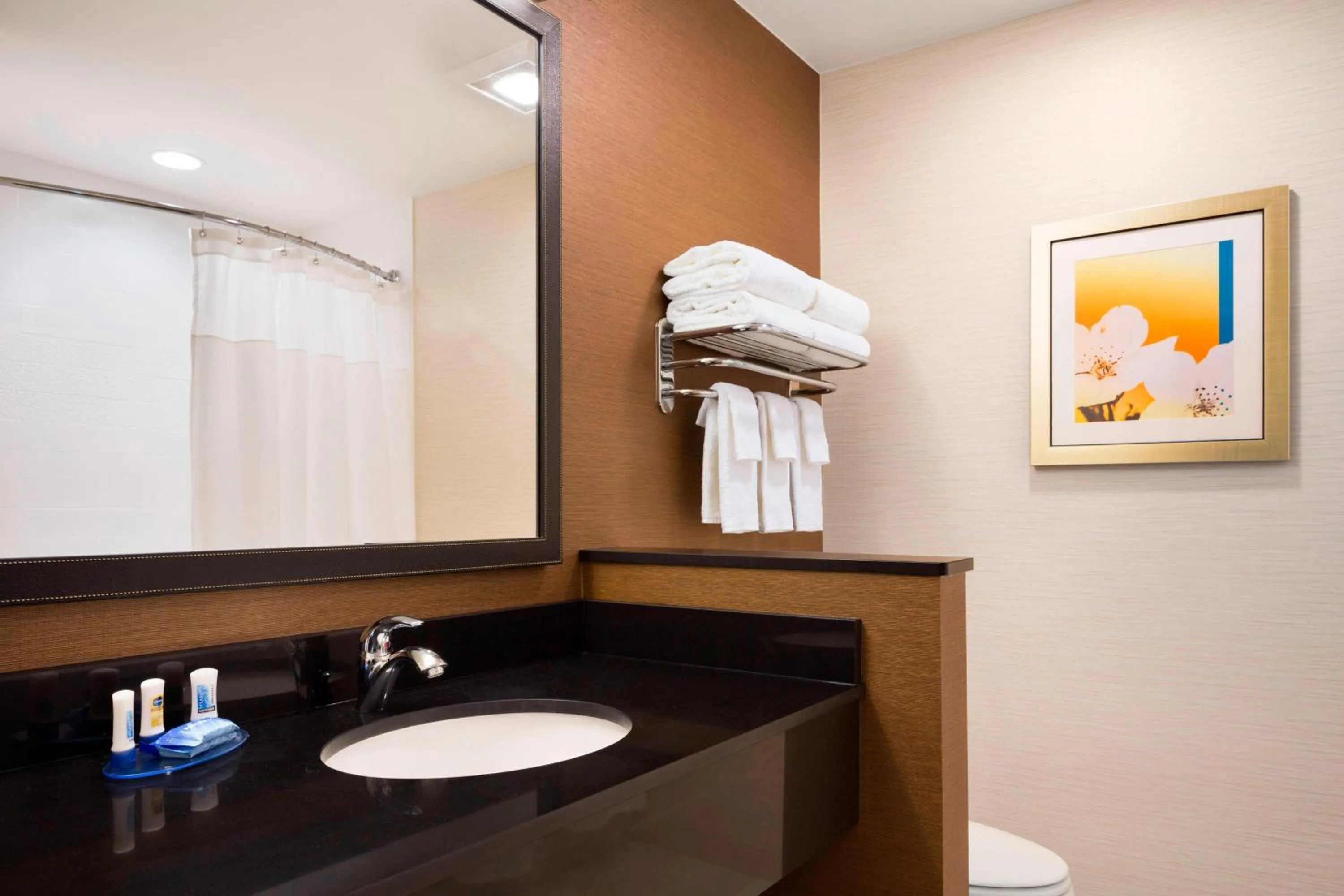 Bathroom in Fairfield Inn & Suites by Marriott Akron Fairlawn