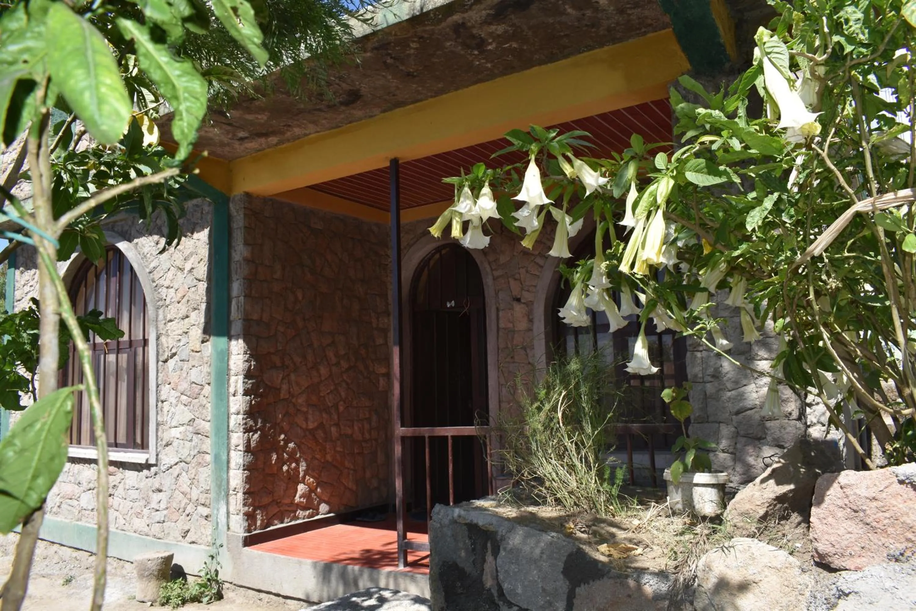 Property building in Lalibela Homestay