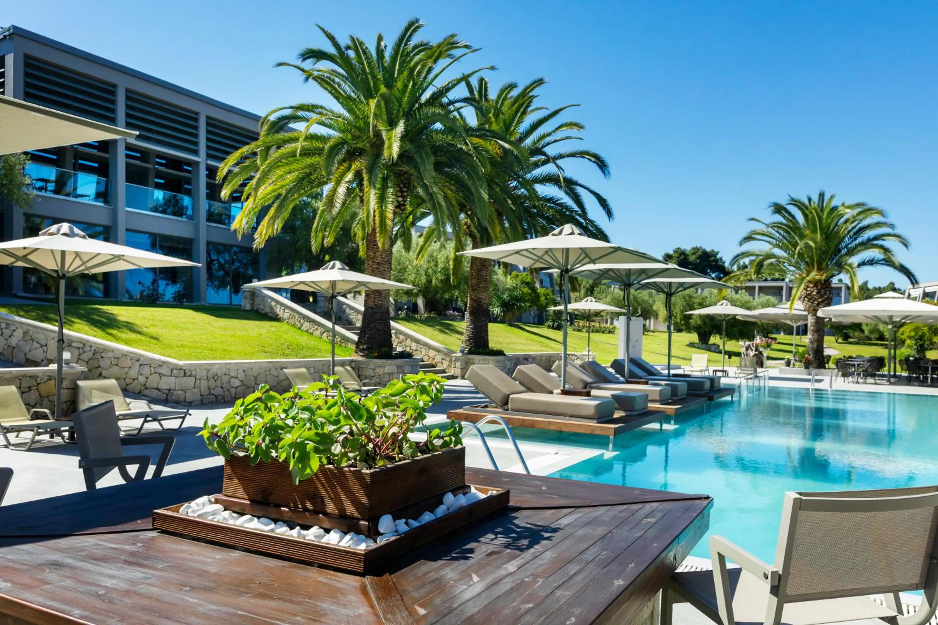 Spring in Iris Hotel