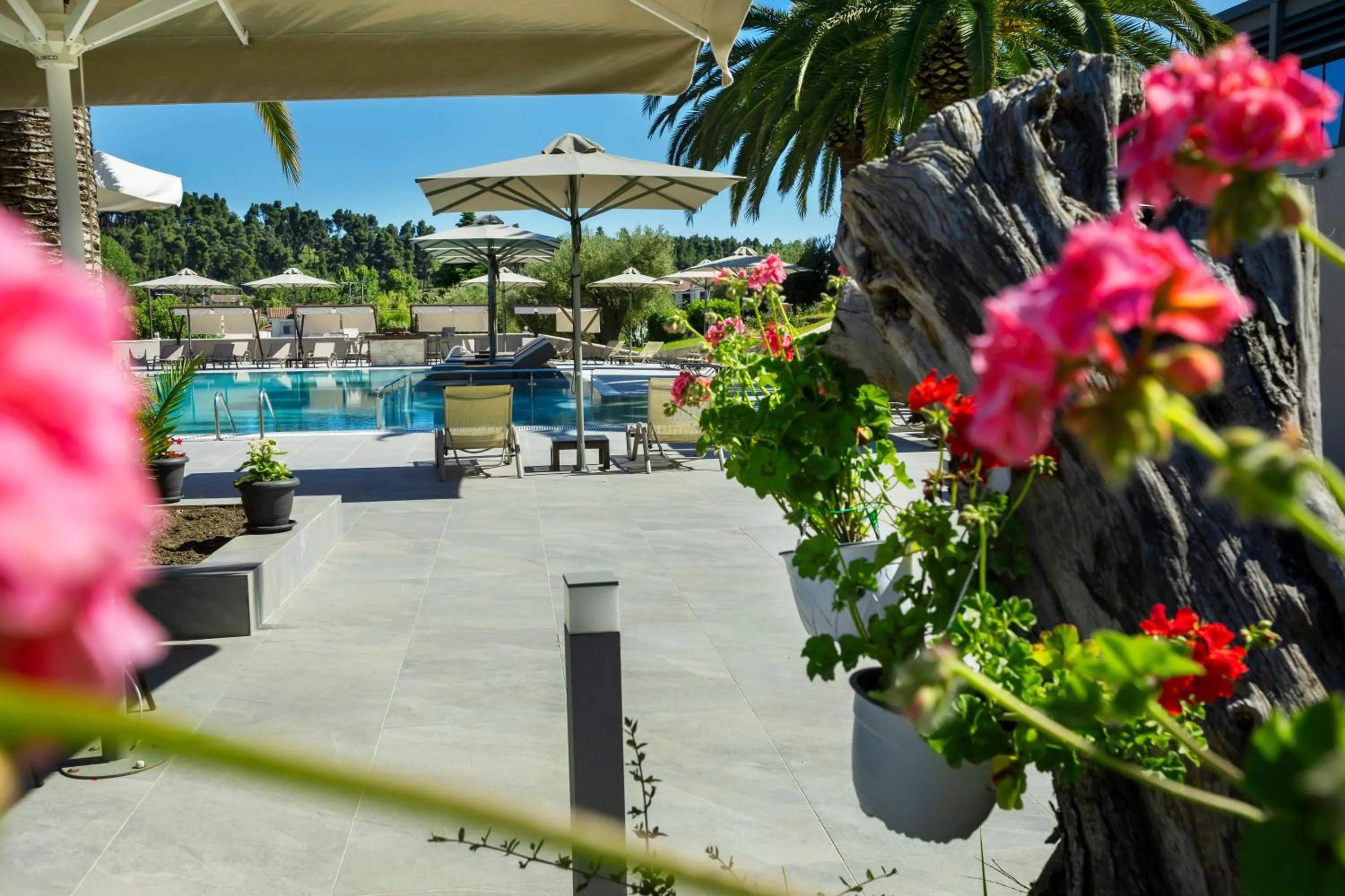 Spring in Iris Hotel