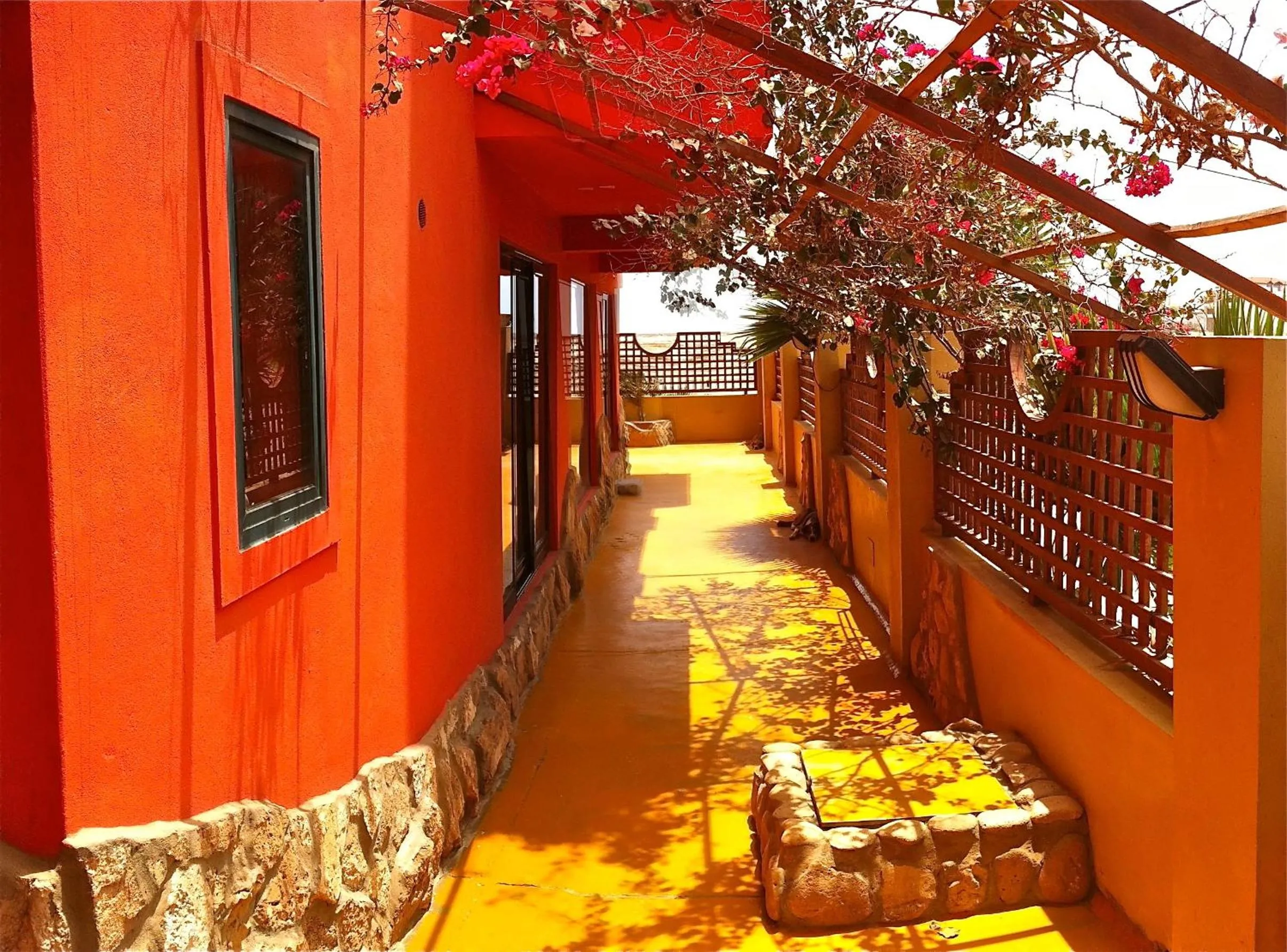 Garden in Surfactivity Guest House