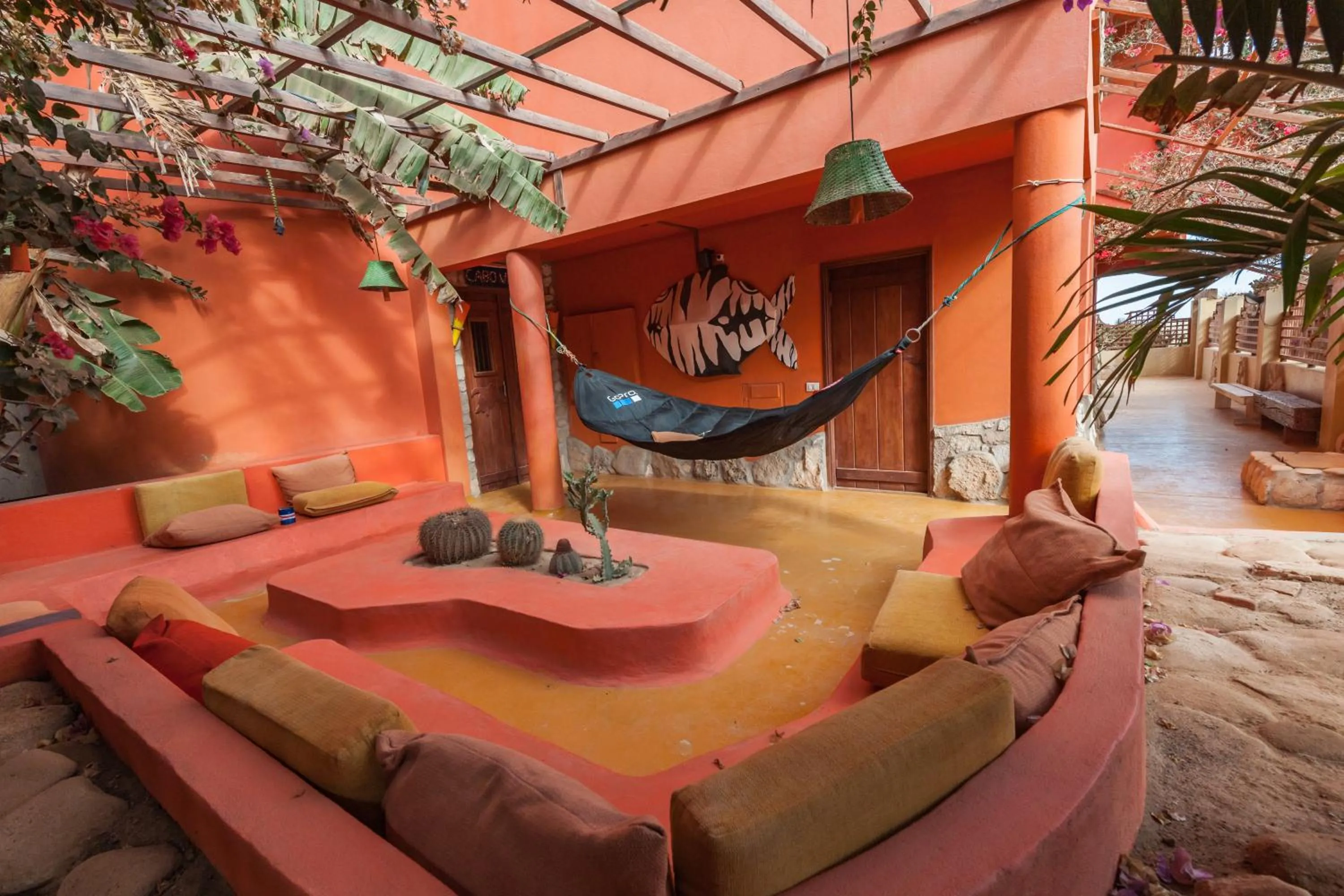 Garden in Surfactivity Guest House