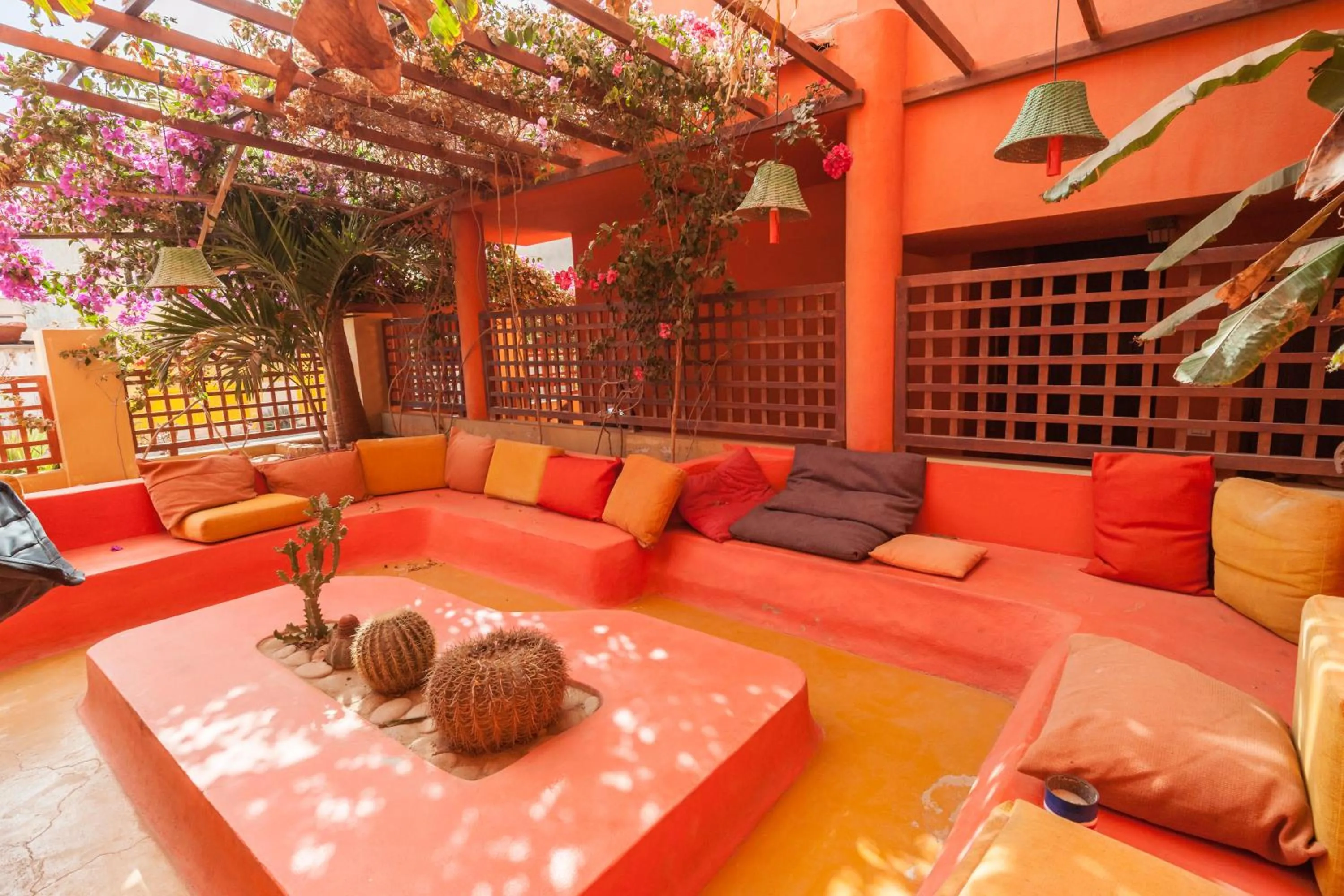 Garden in Surfactivity Guest House