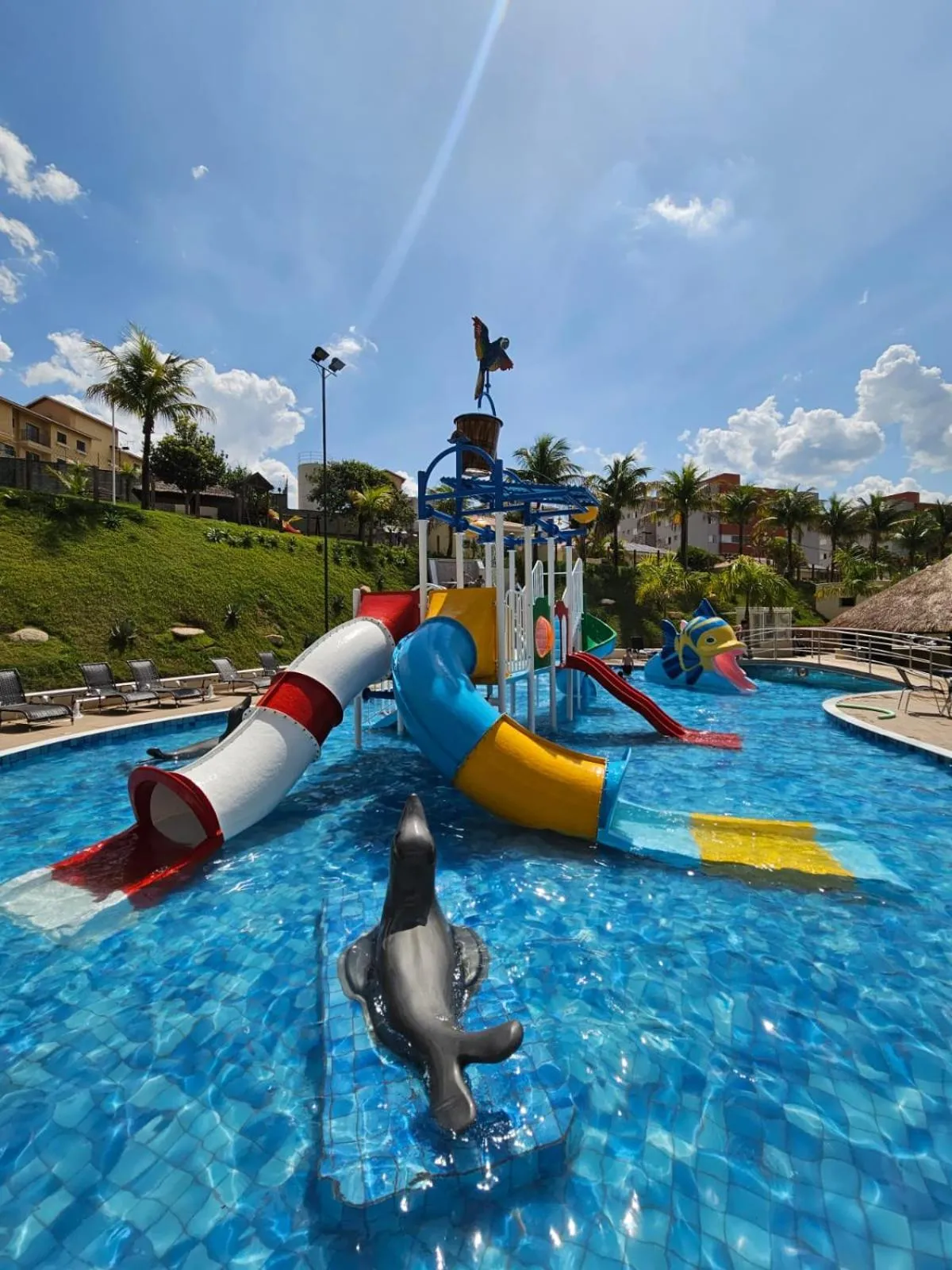 Aqua park in Vinhedo Plaza Hotel