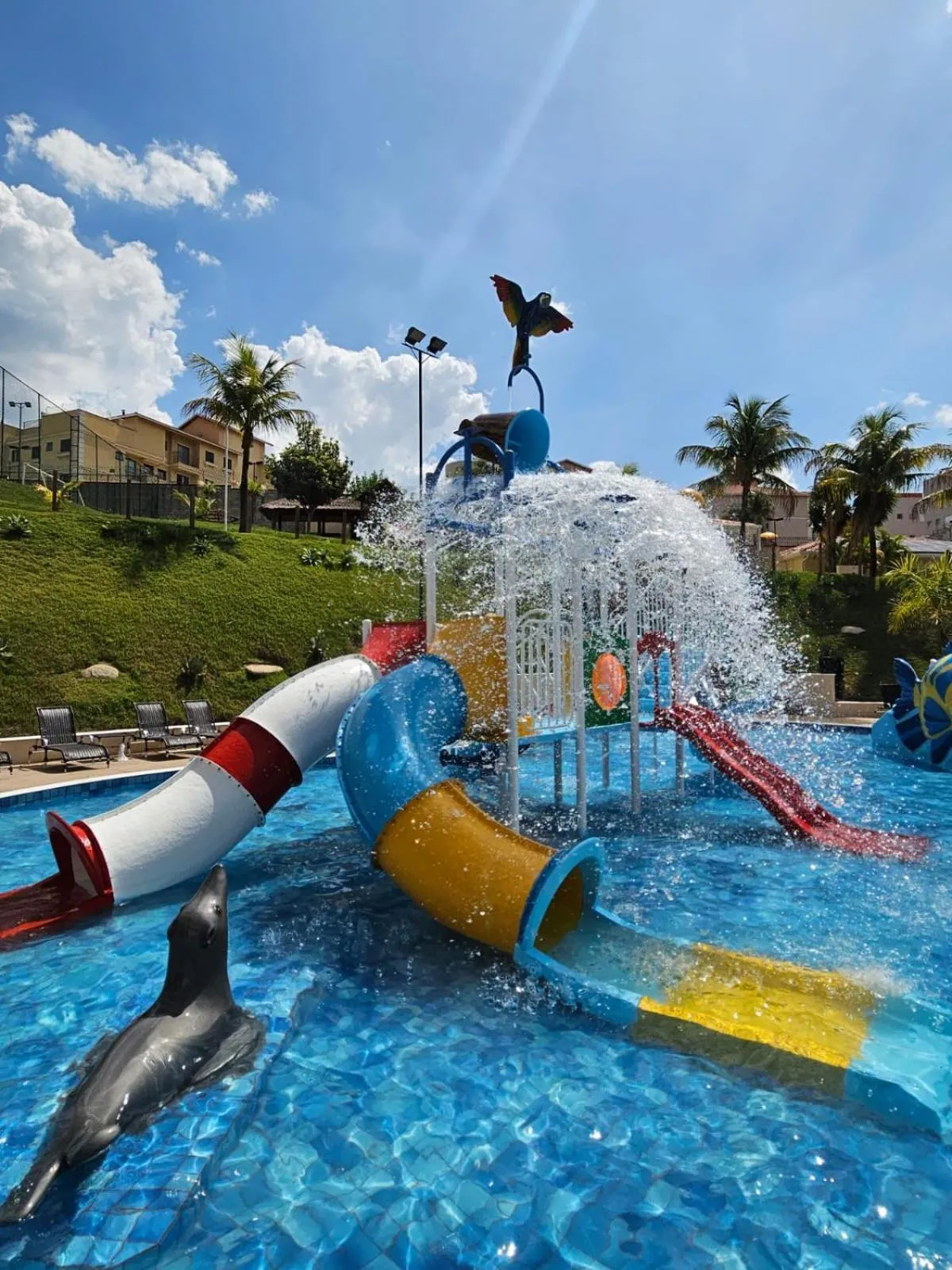 Pool view in Vinhedo Plaza Hotel