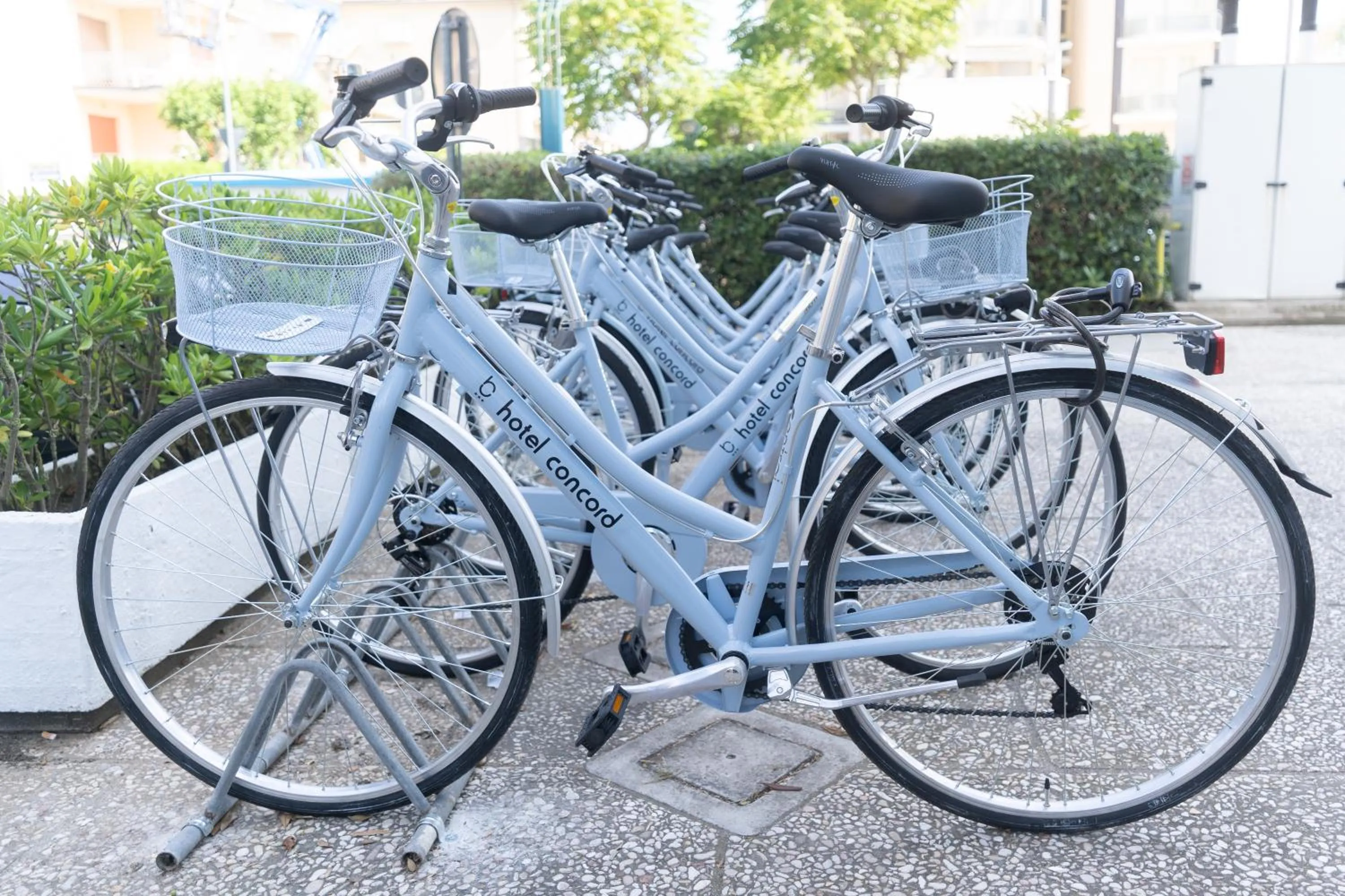 Cycling in Hotel Concord