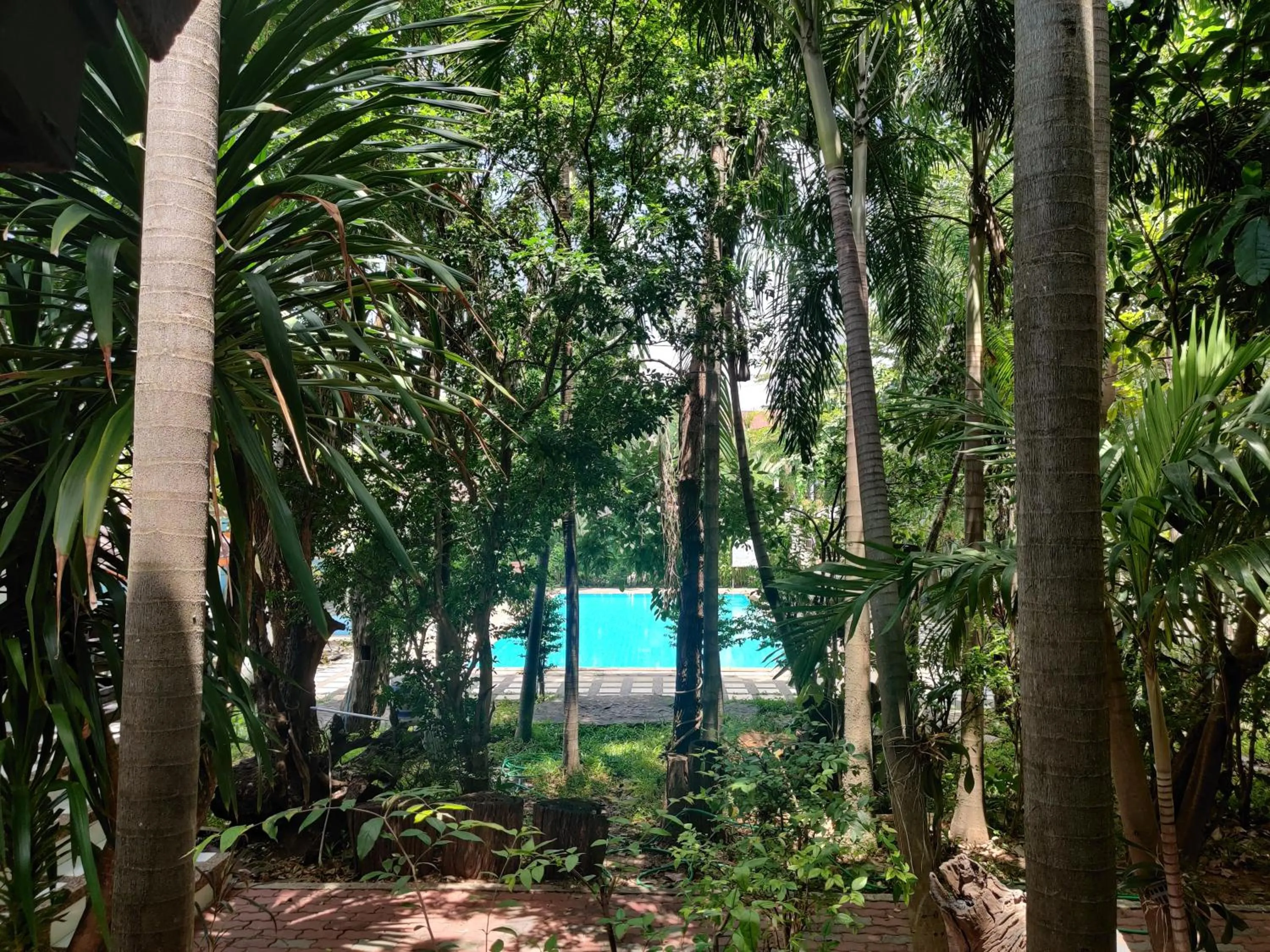 Swimming pool in Thong Paeka Hotel