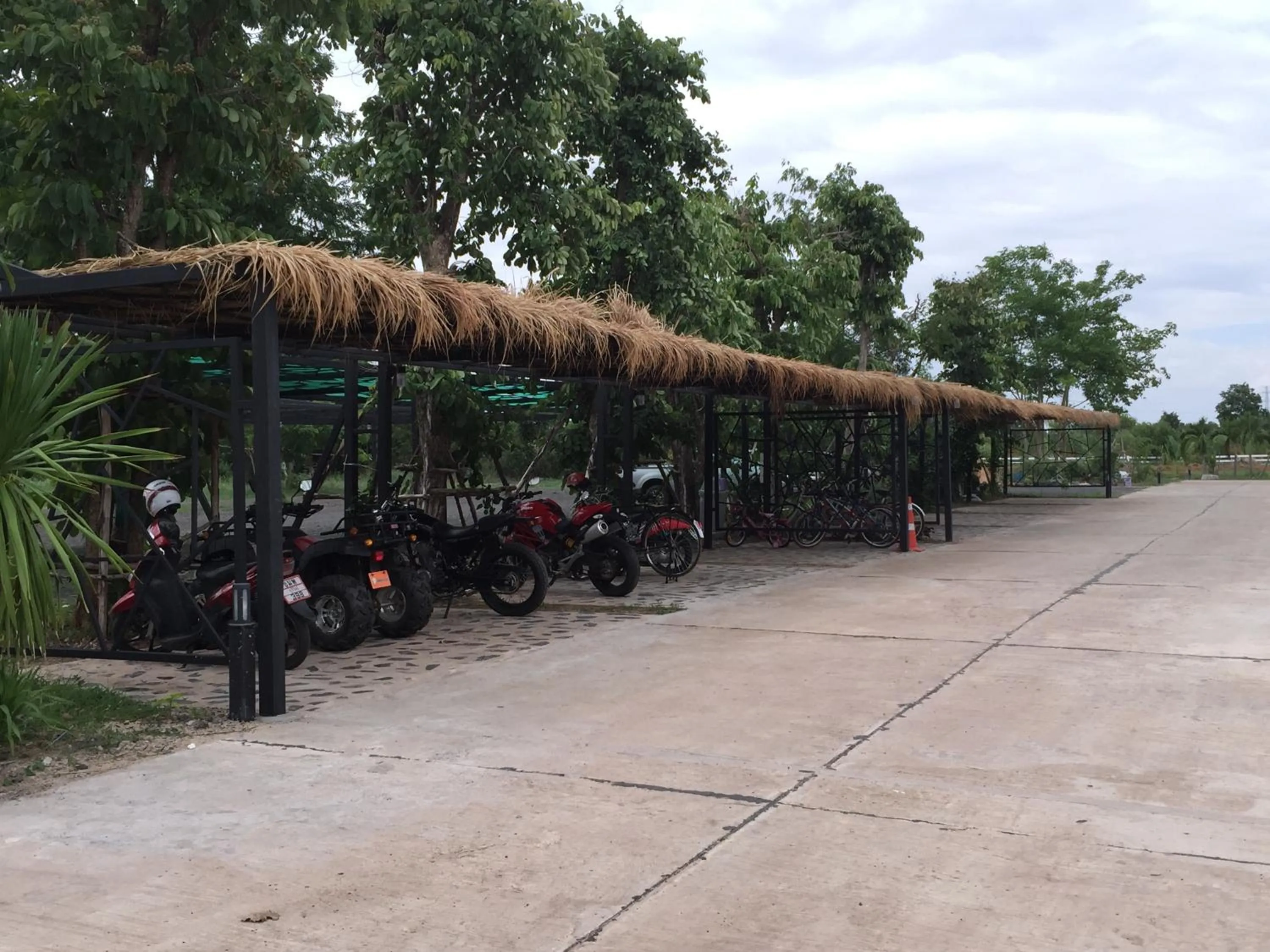 Cycling in Lemon Resort