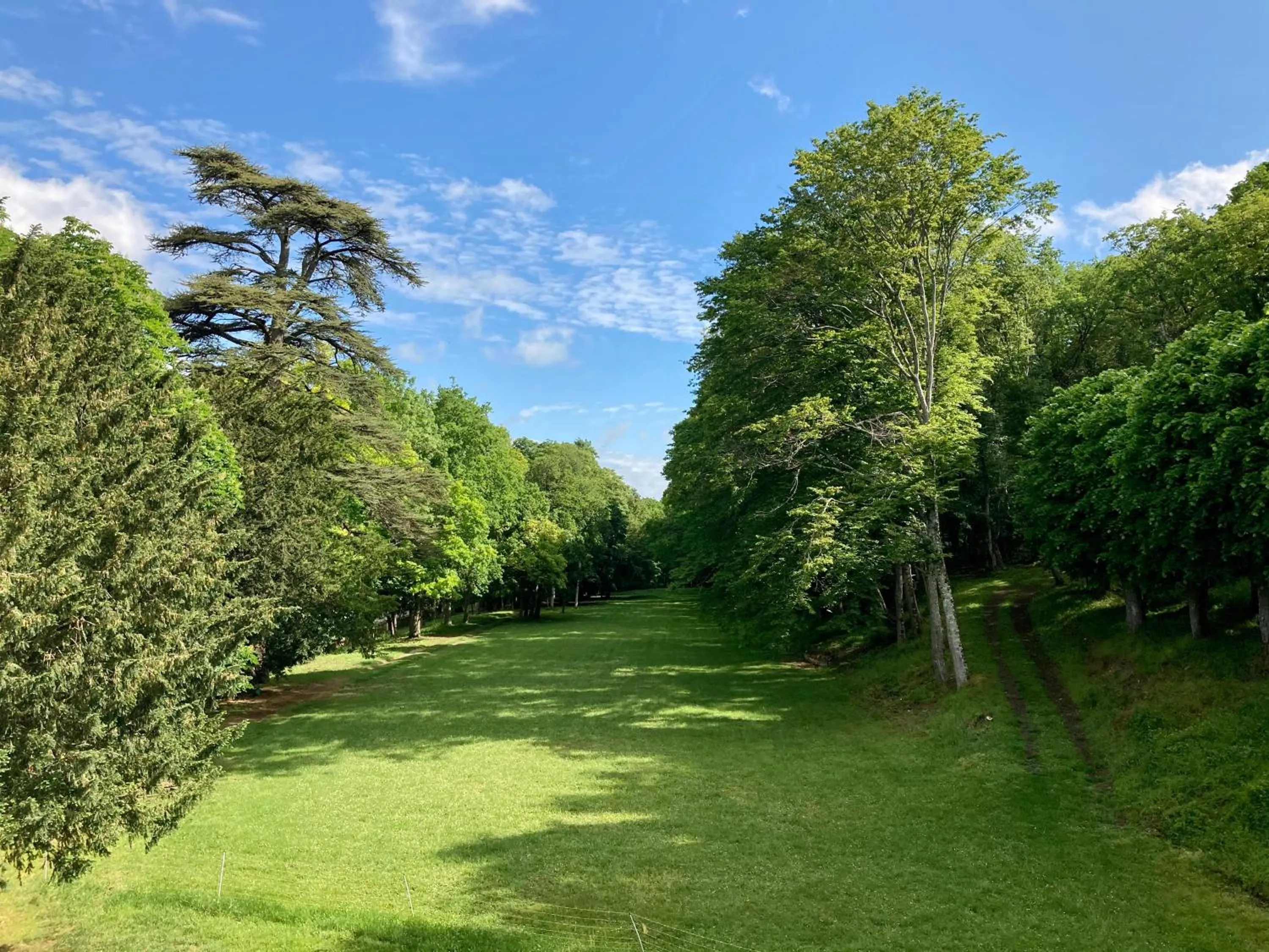 Garden in Château Laborde Saint Martin