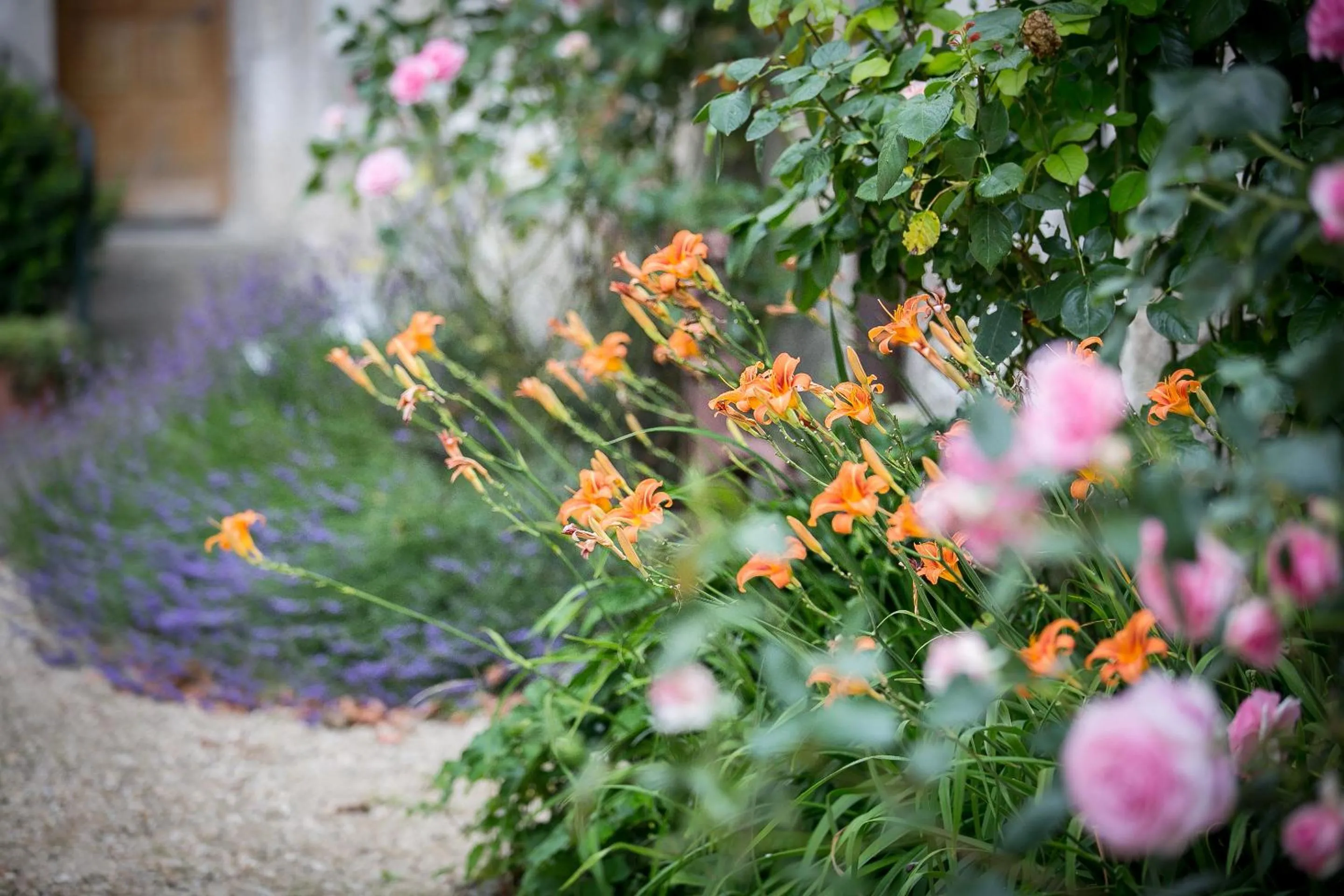 Garden in Château Laborde Saint Martin