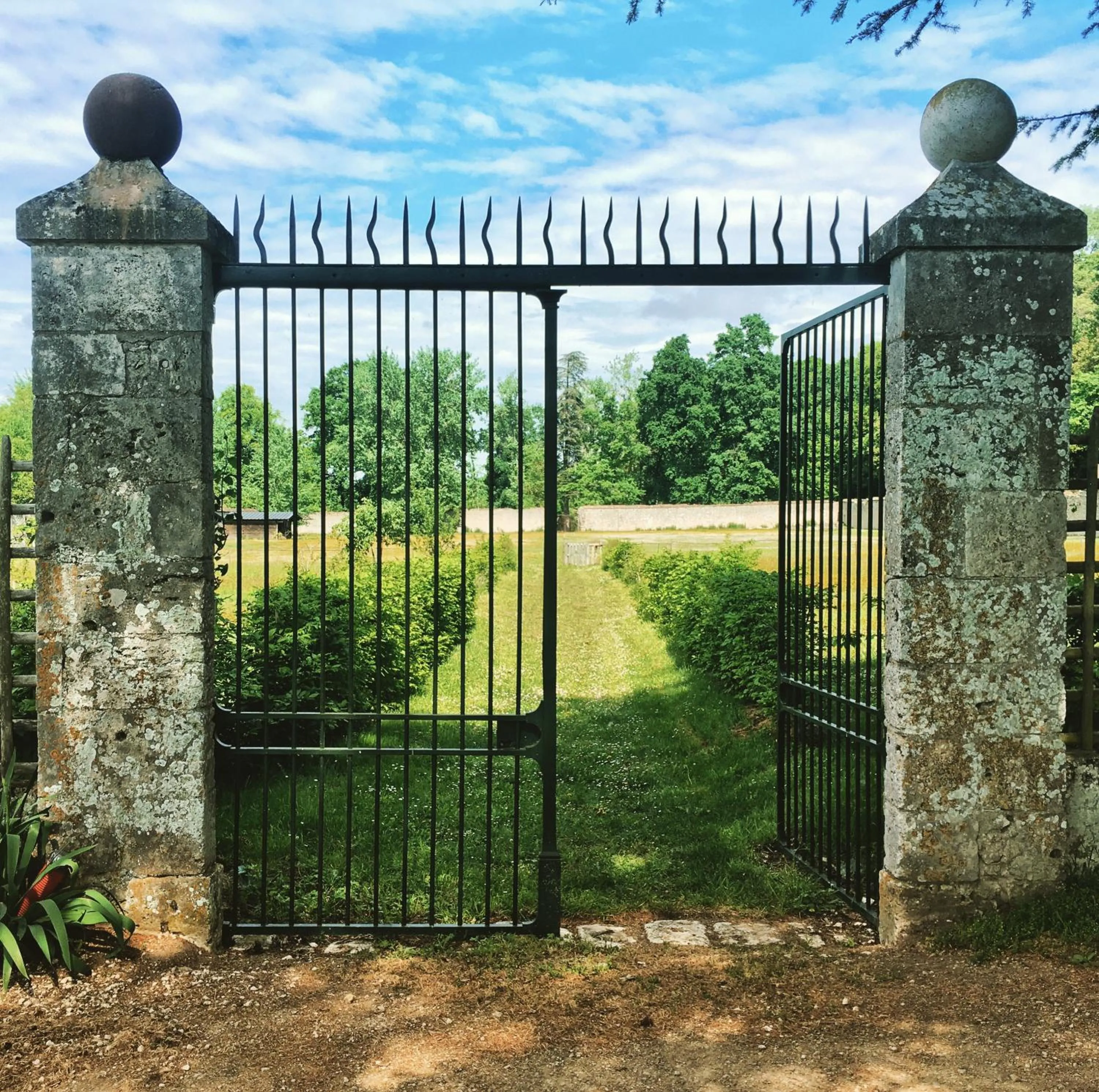 Garden in Château Laborde Saint Martin