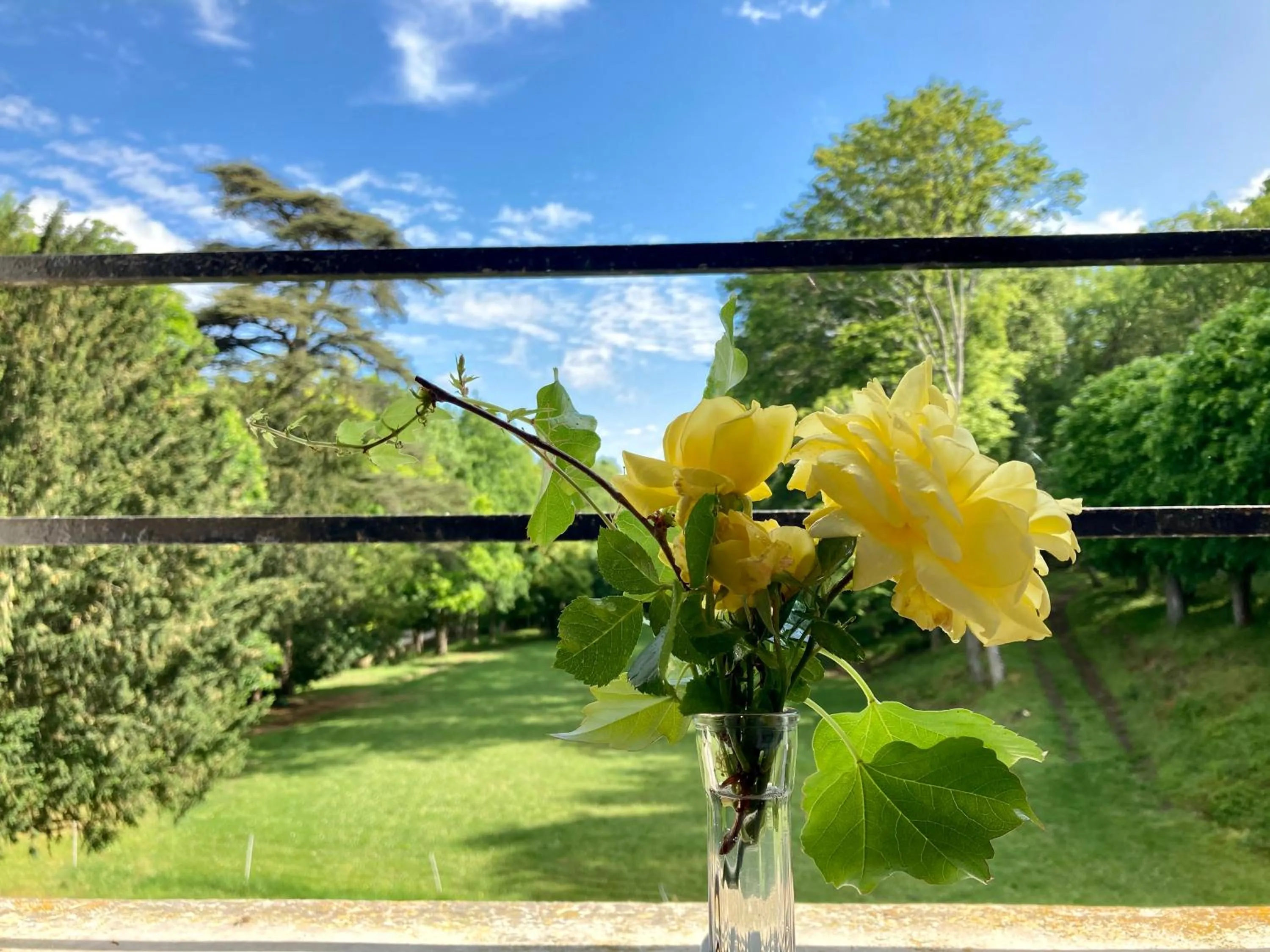 View (from property/room) in Château Laborde Saint Martin
