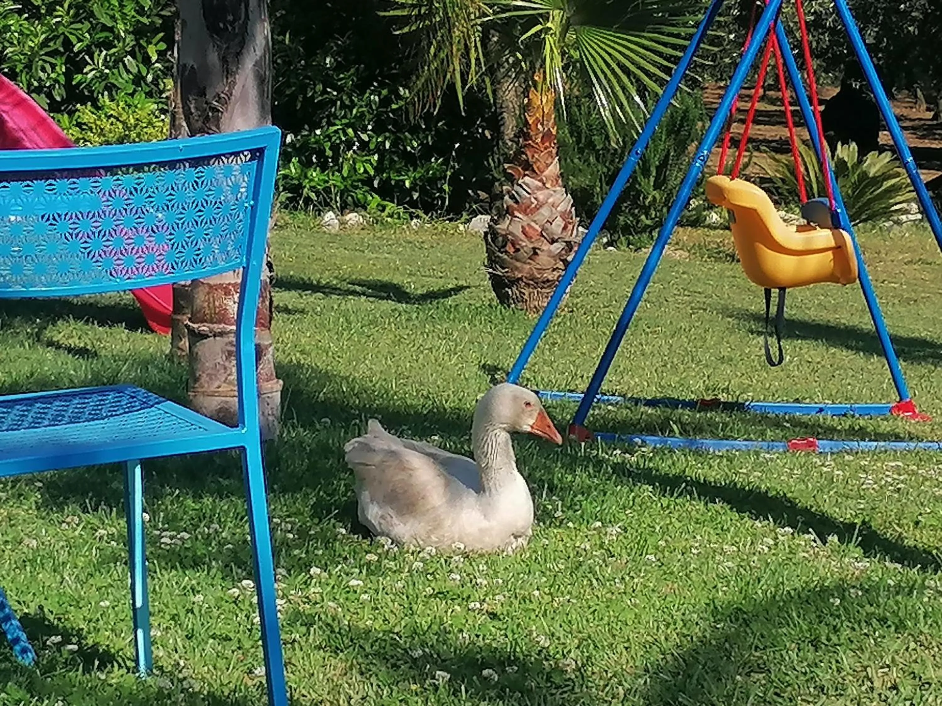 B&B Villa Molinari Restaurant e Baby Park