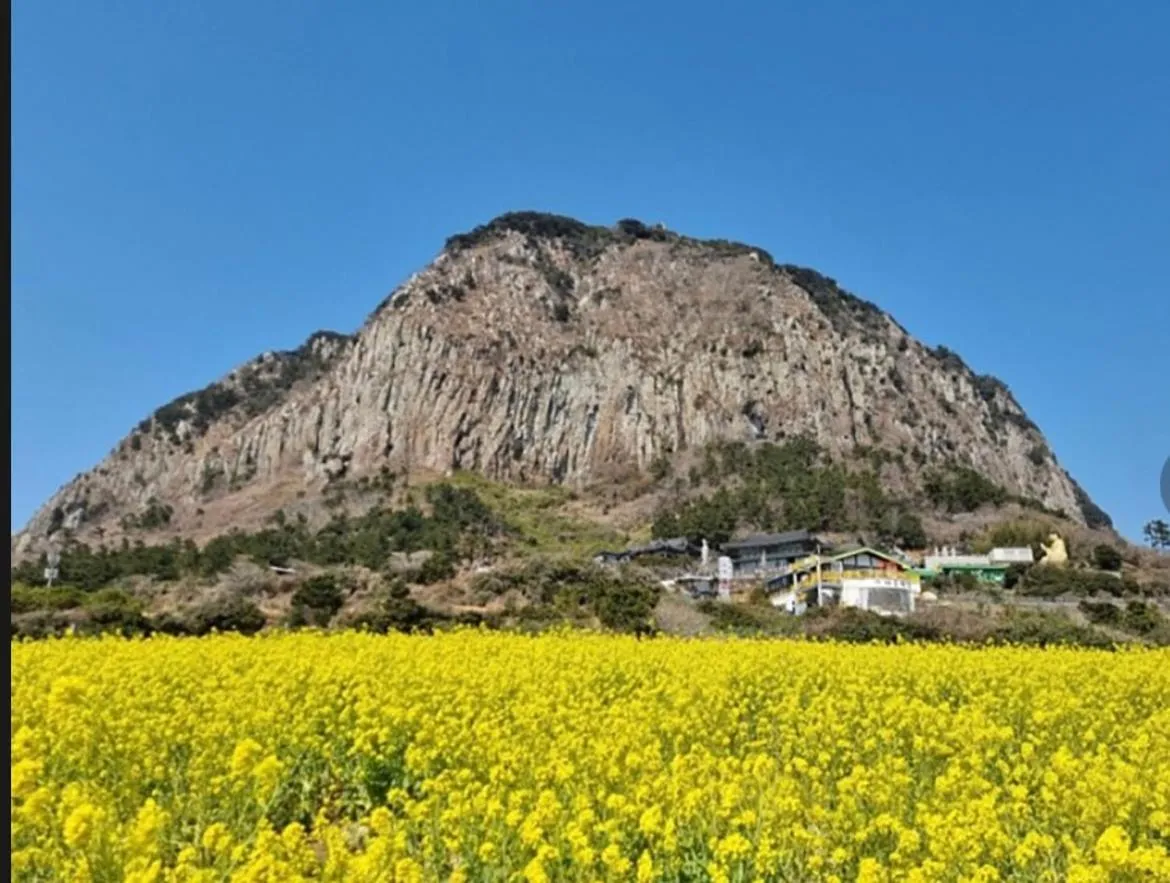 Masion Sanbang Jeju