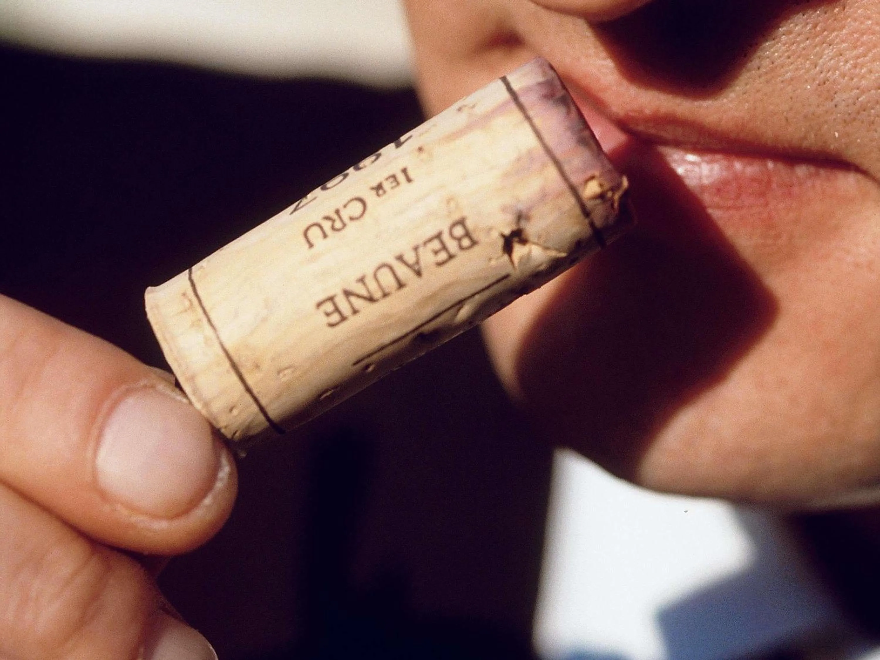 Lounge or bar in Mercure Toulouse Sud