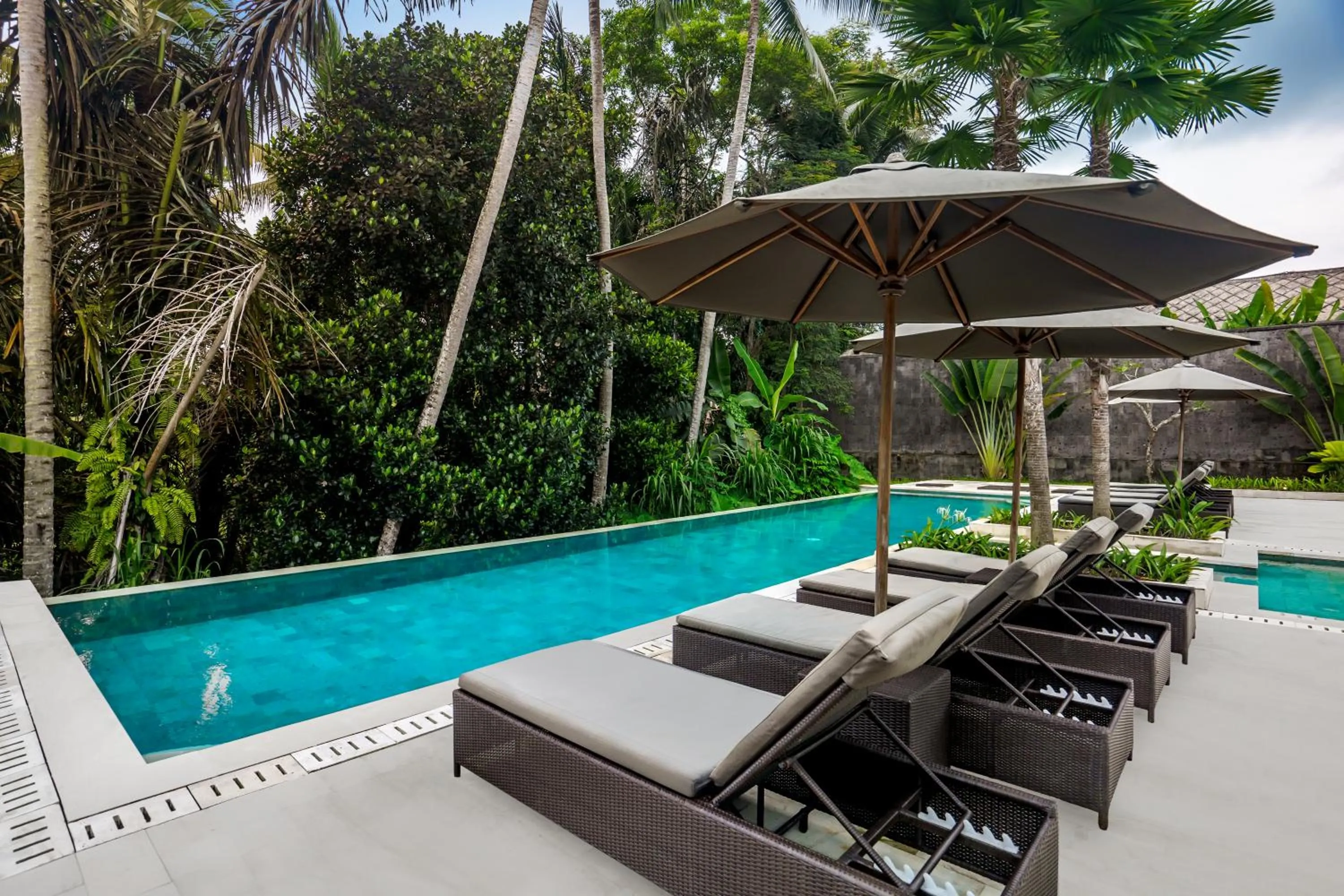 Swimming pool in Villa Dune