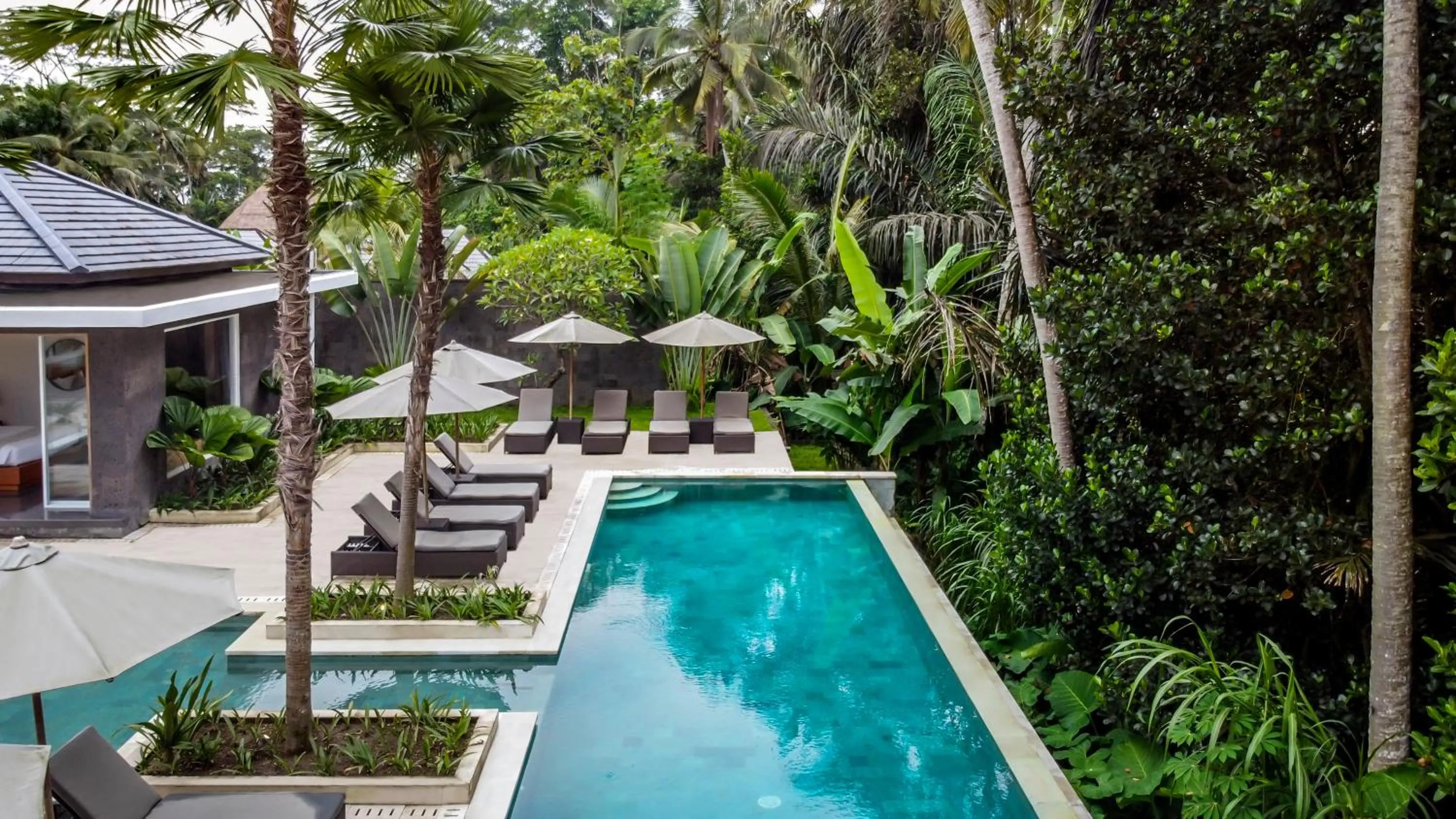Swimming pool in Villa Dune