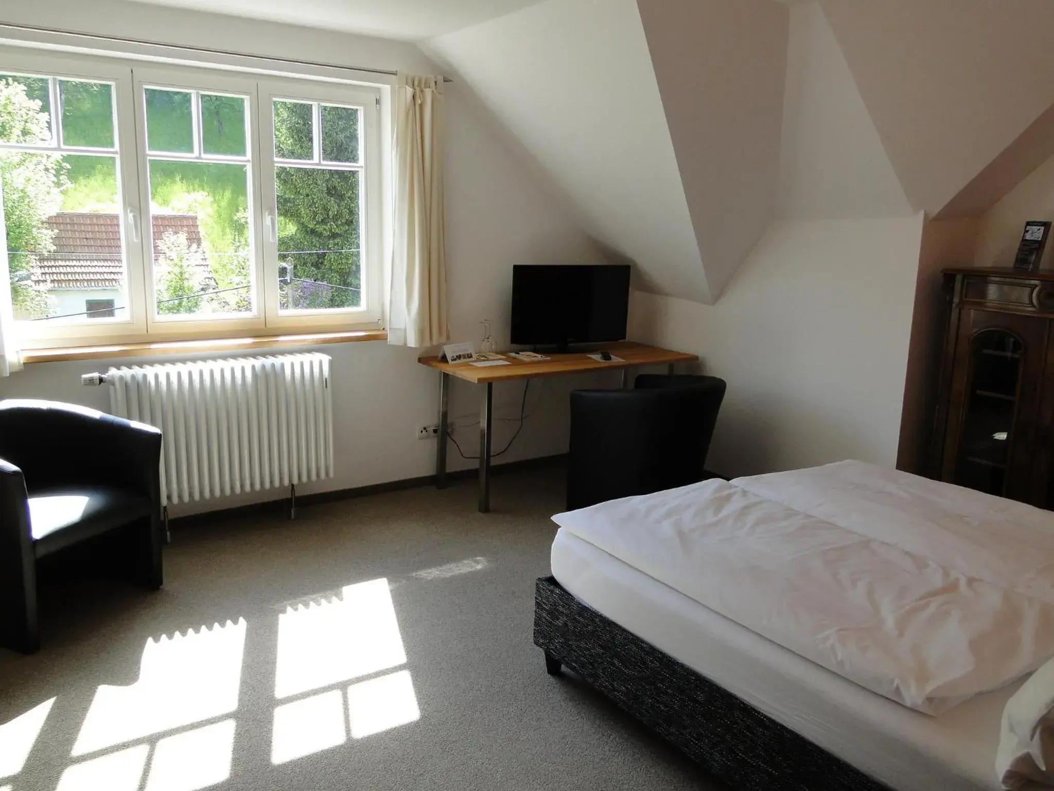 Double Room with Mountain View - single occupancy in Pension Villa am Burgberg Double Room with Mountain View - single occupancy in Pension Villa am Burgberg