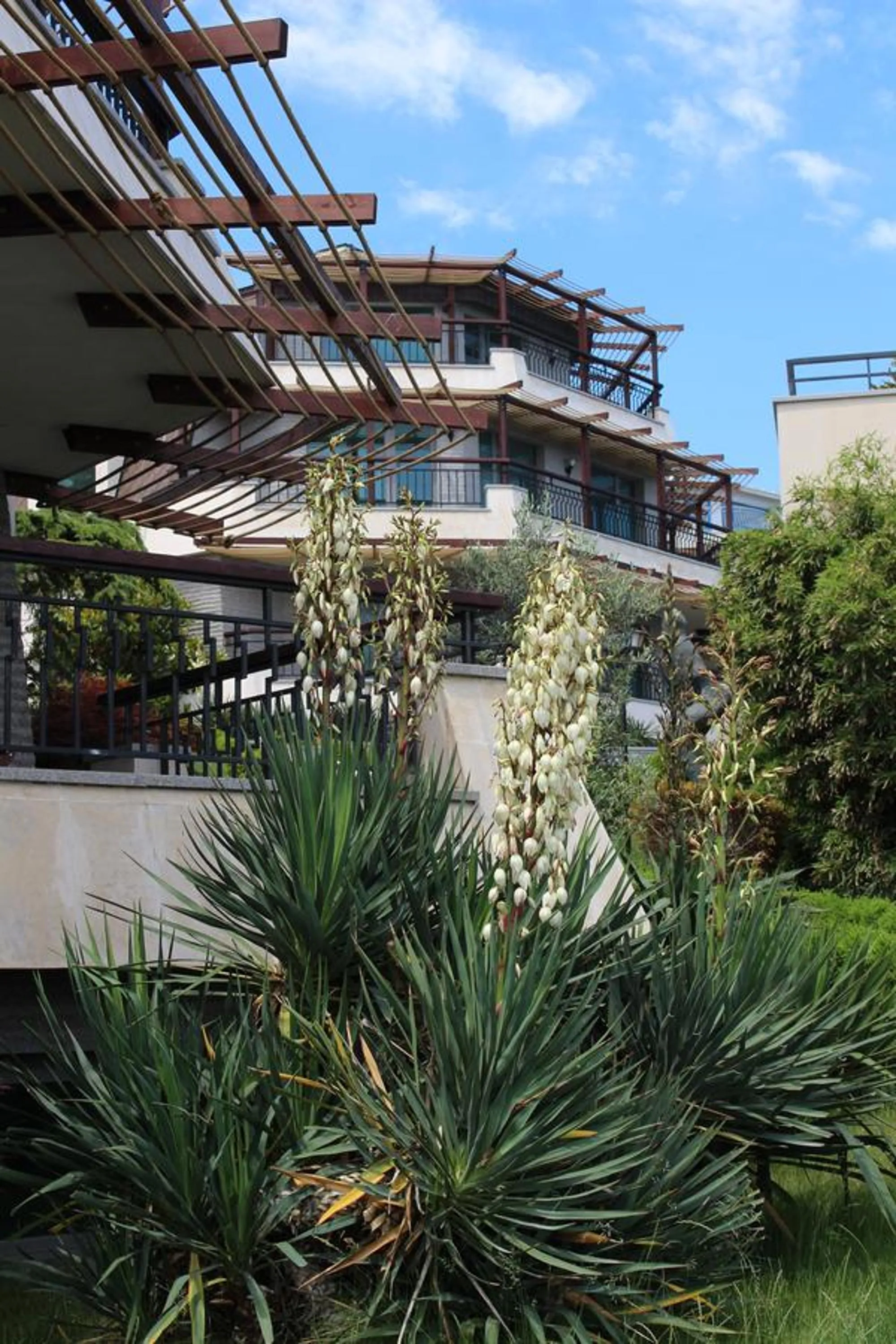 Property building in Art Complex Anel