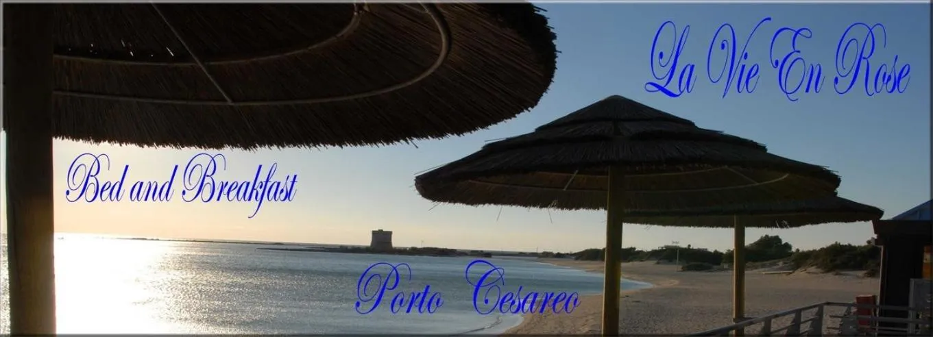 Text overlay in B&B Vie En Rose