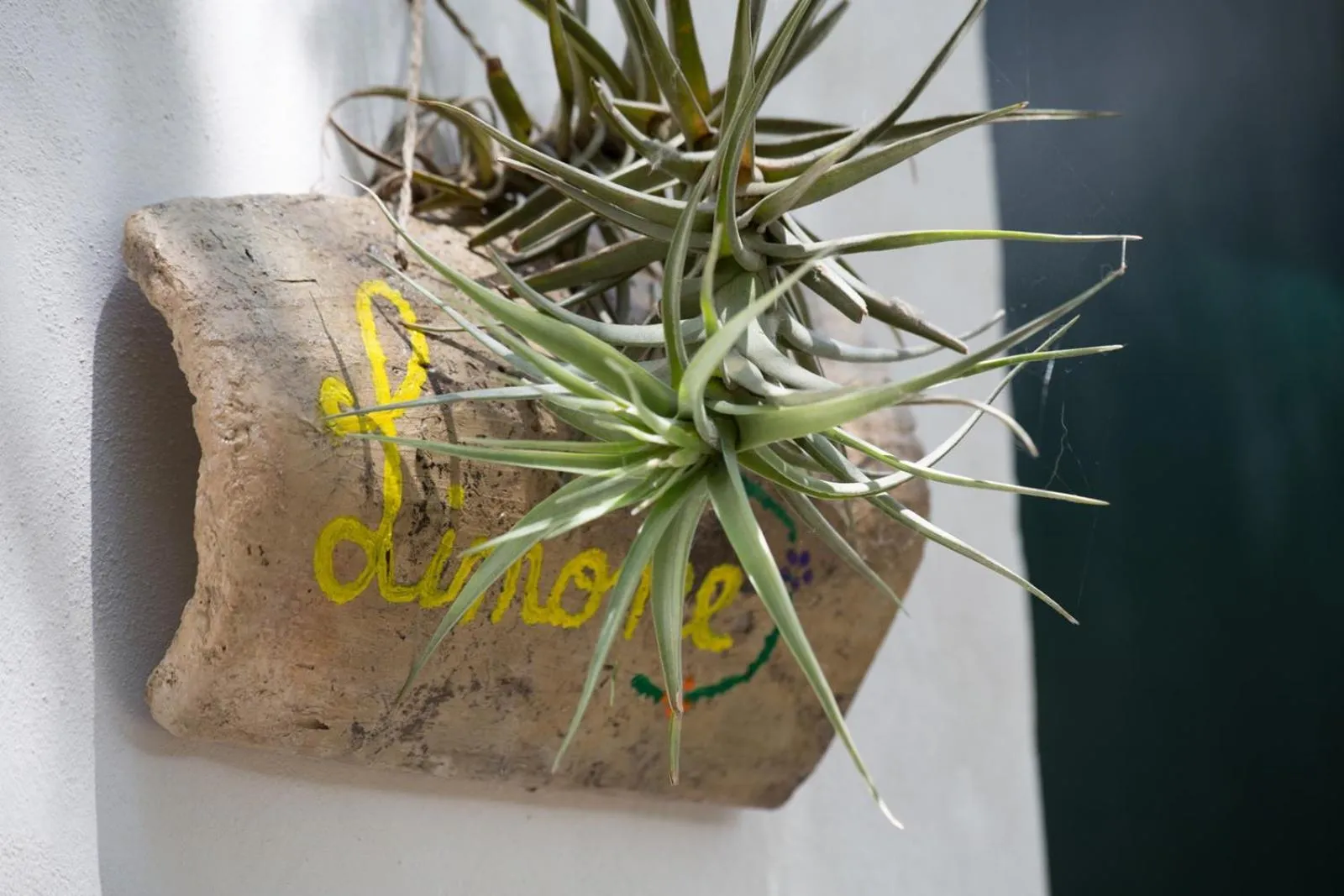 Decorative detail in Giardino Nascosto