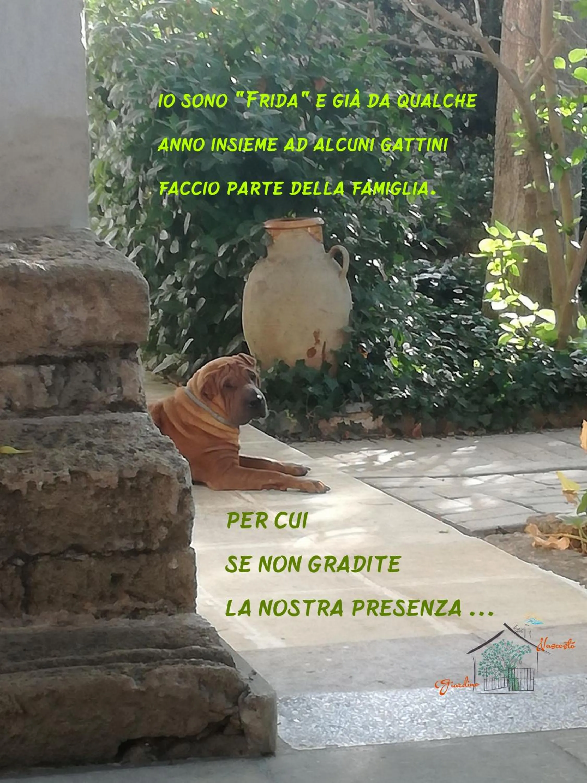 Pets in Giardino Nascosto