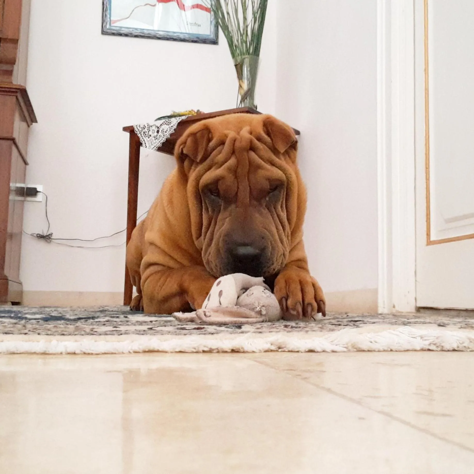 Pets in Giardino Nascosto