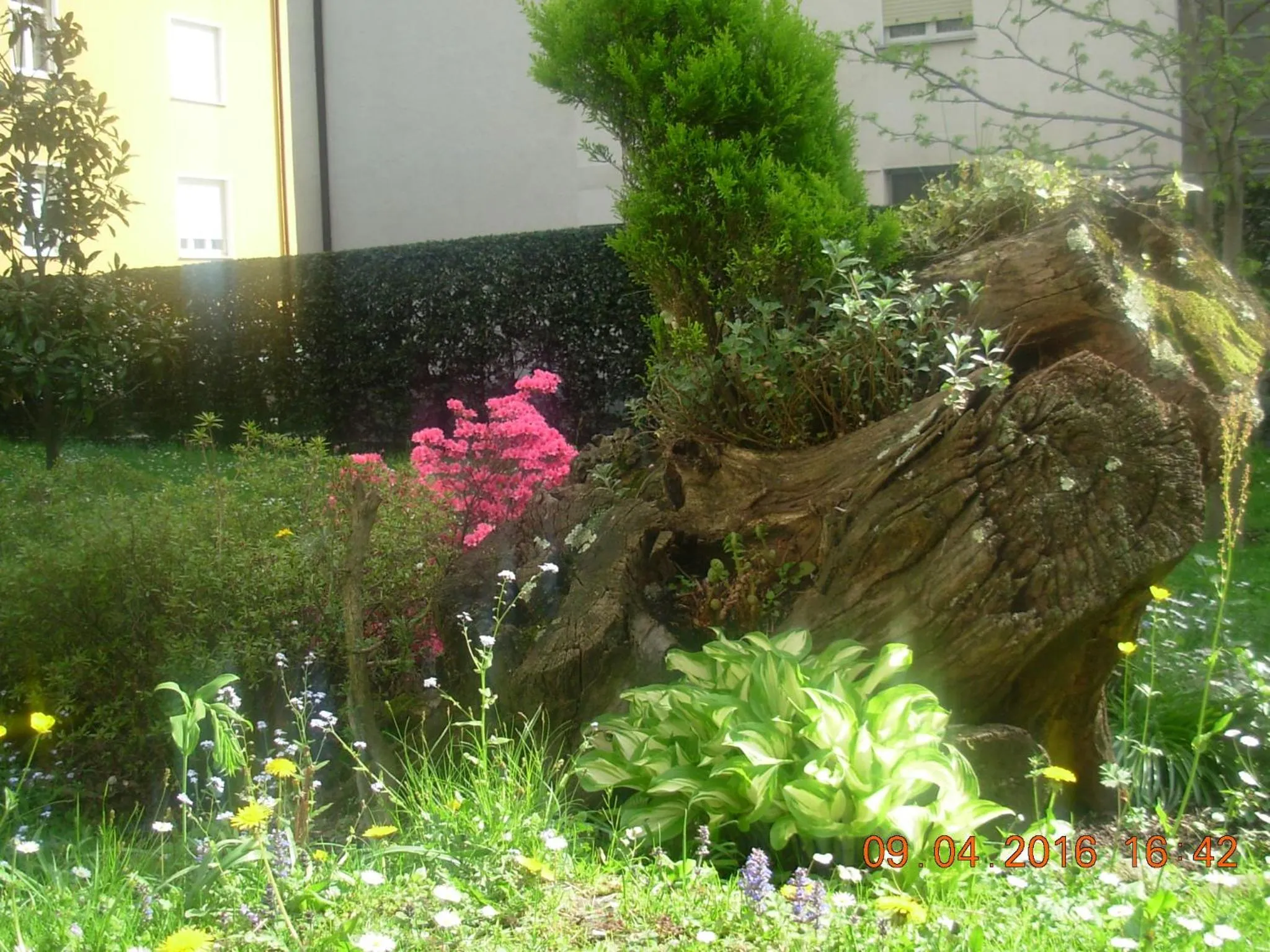 Garden in B&B I Pioppi