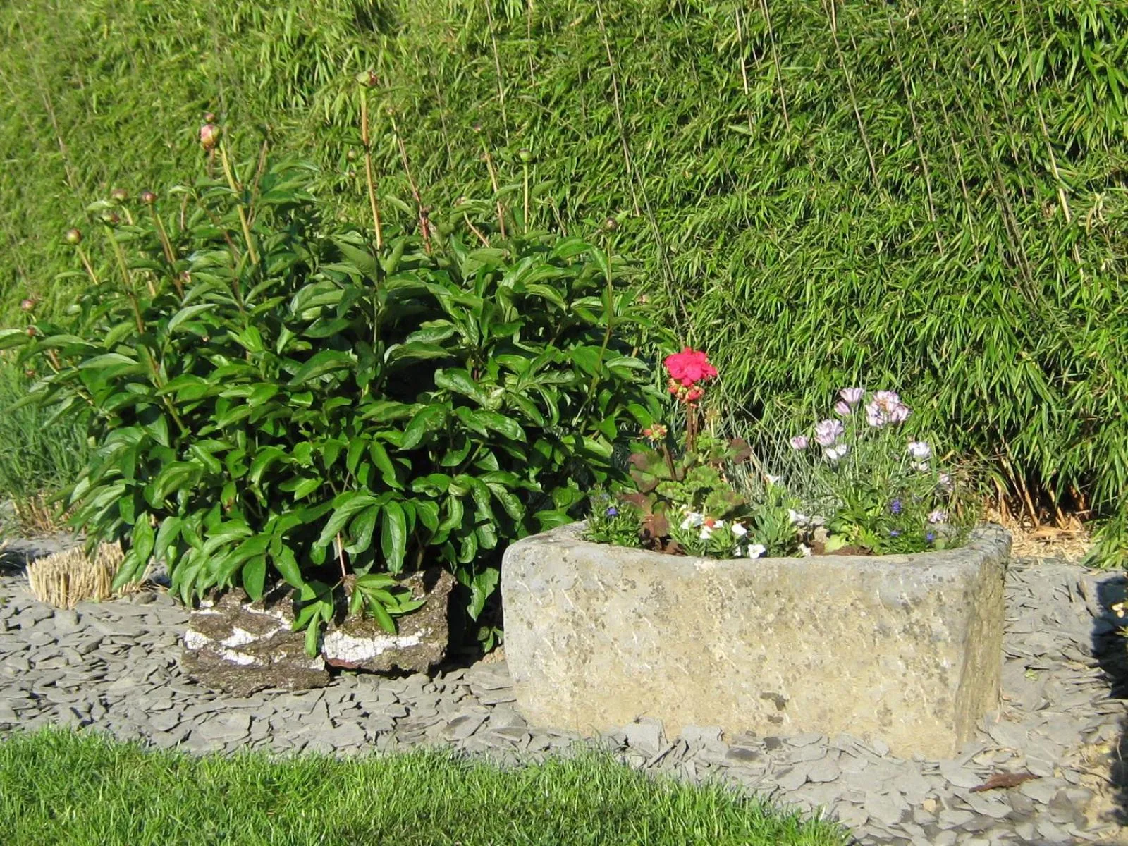 Garden in A L'inattendue