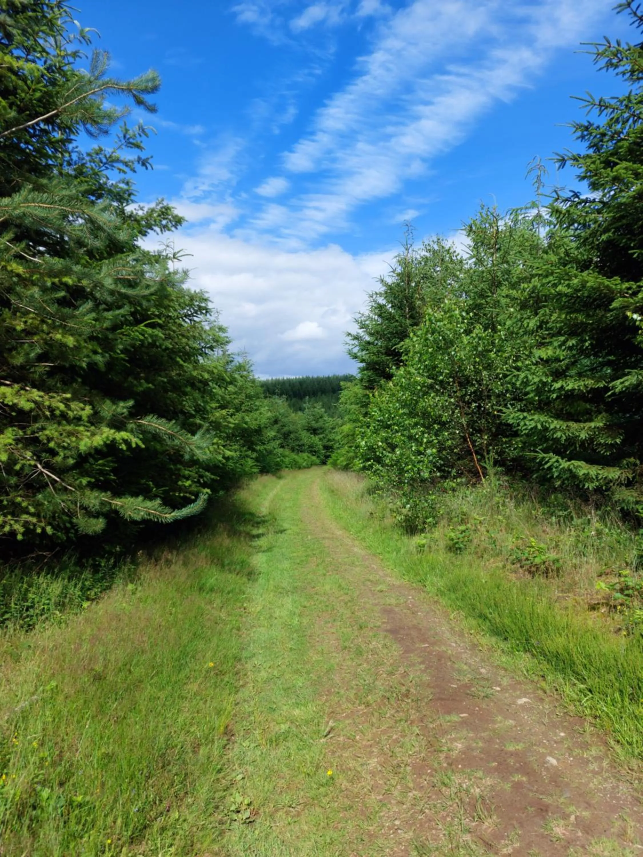 Natural landscape in A L'inattendue