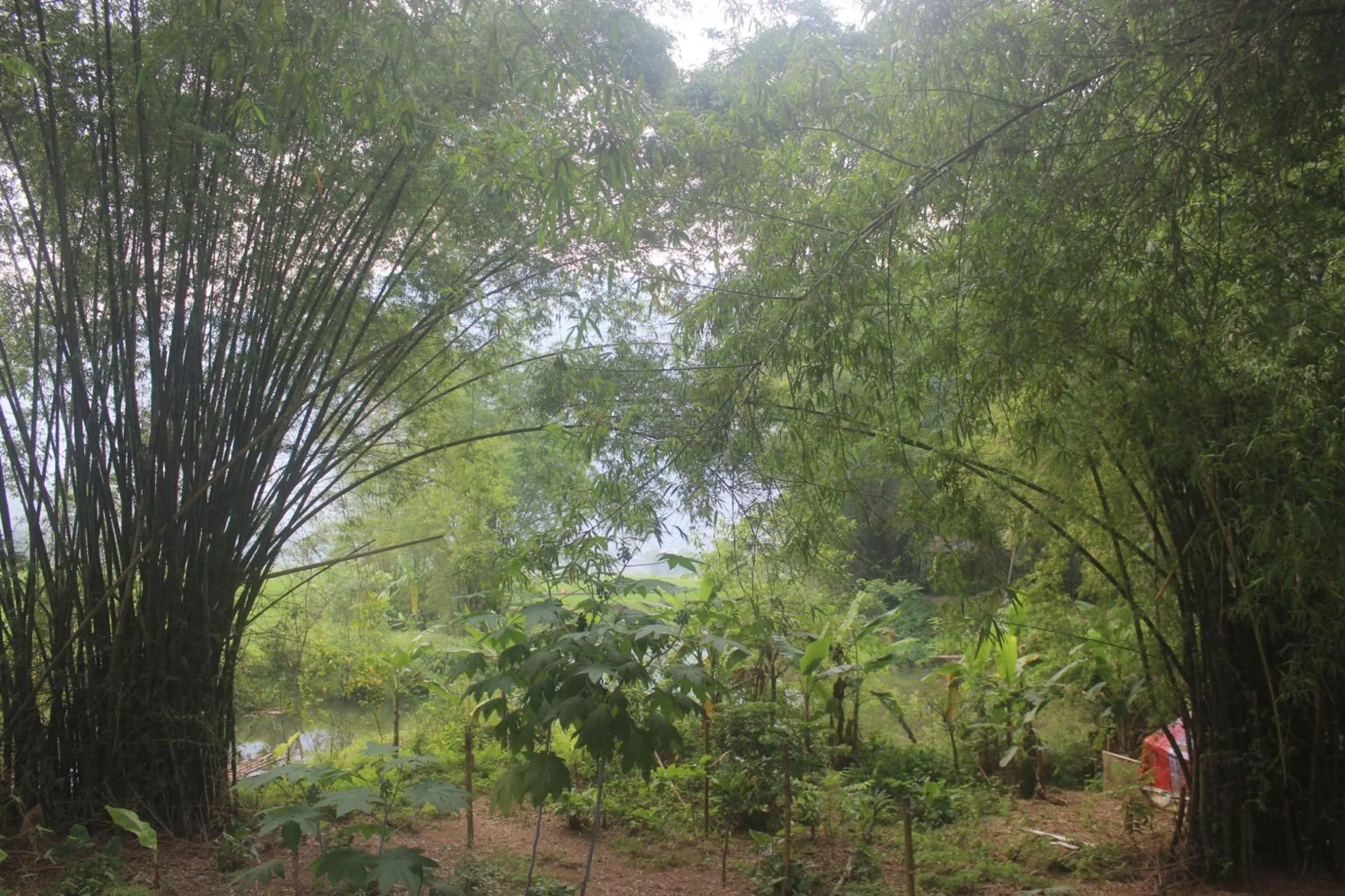 Mai Chau Xanh Bungalow