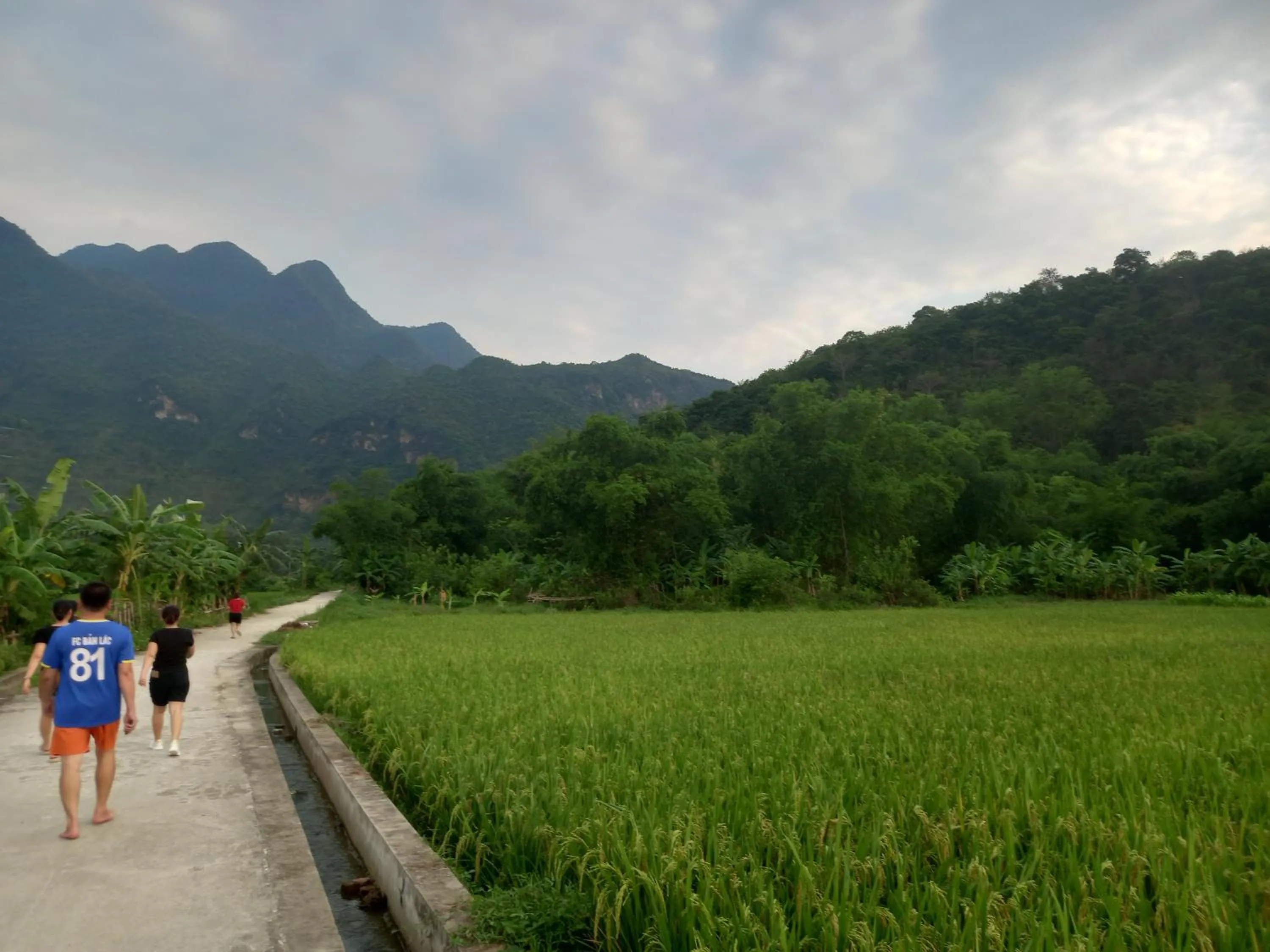 Mai Chau Xanh Bungalow