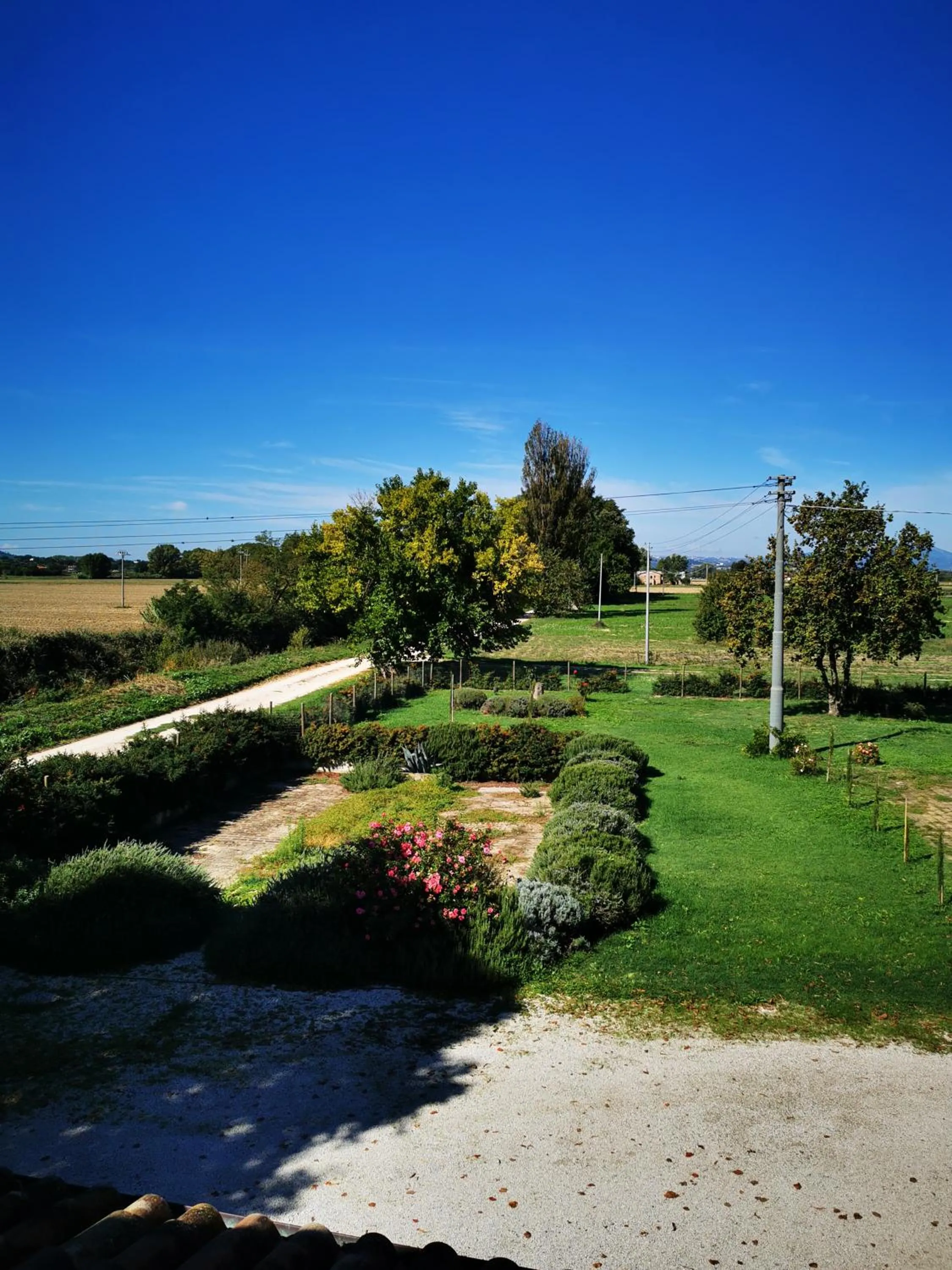 La Casa dei Tigli