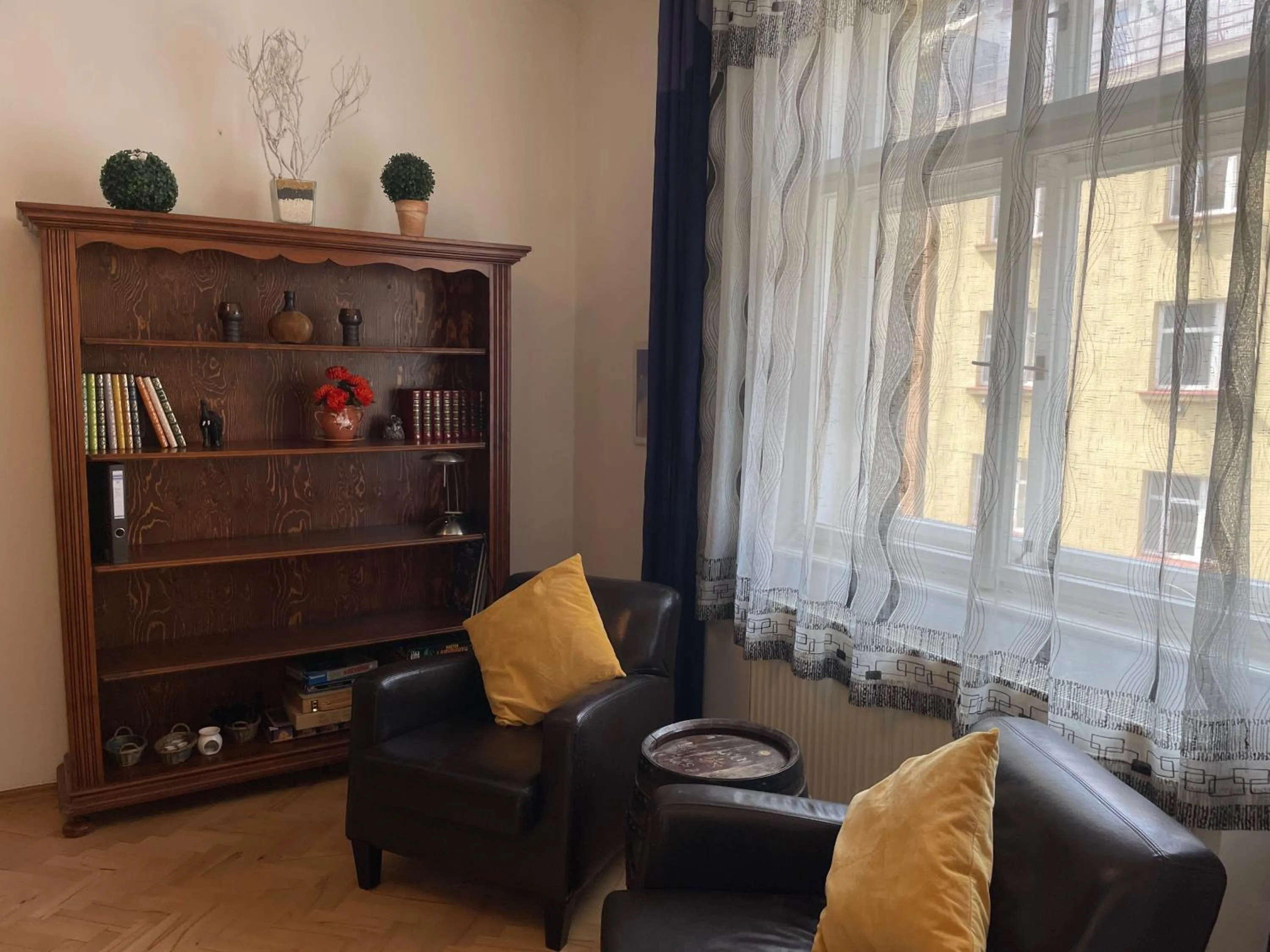 Library in Apartment Flora Lobkovic