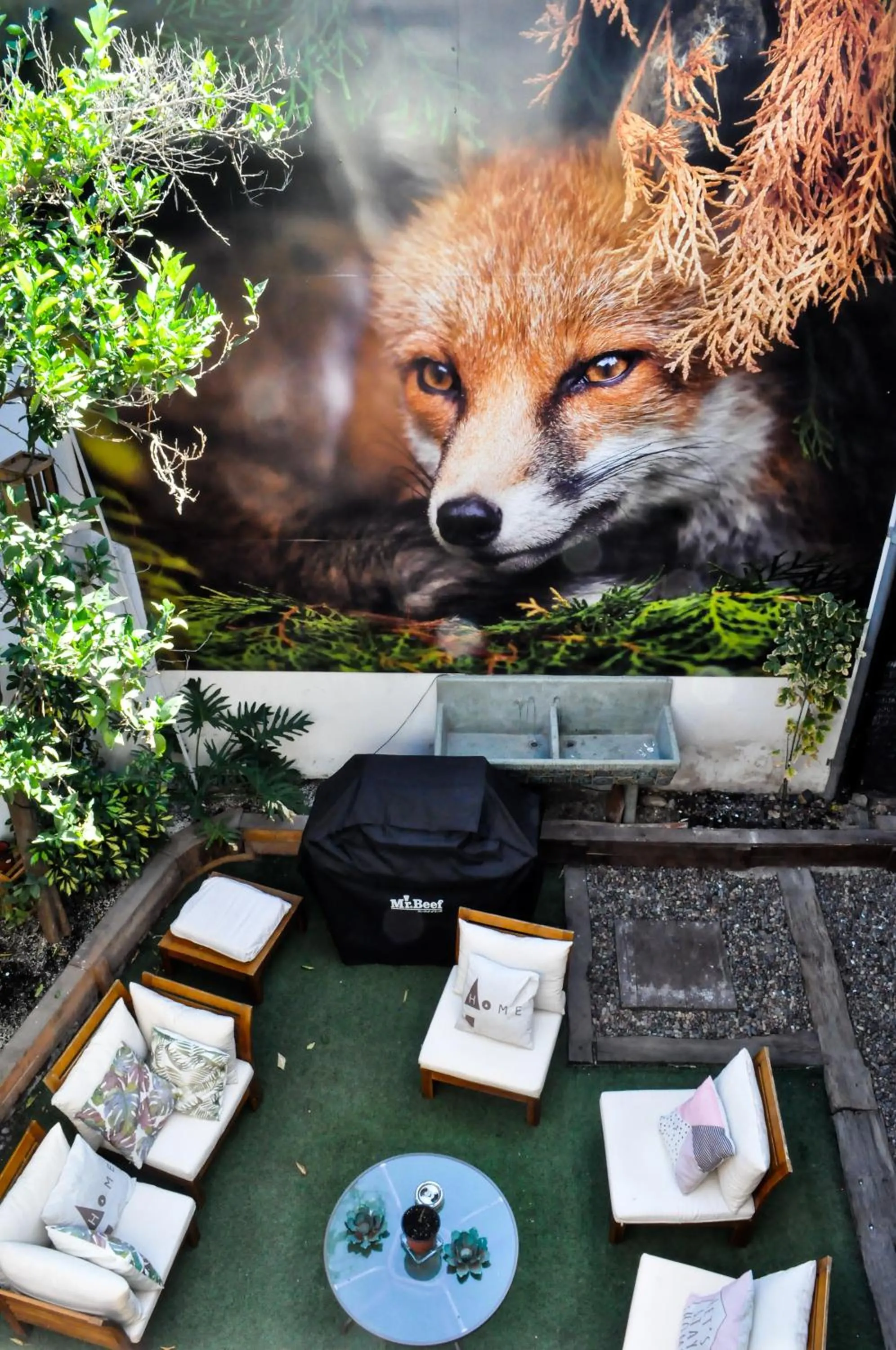 The Fox Hostel