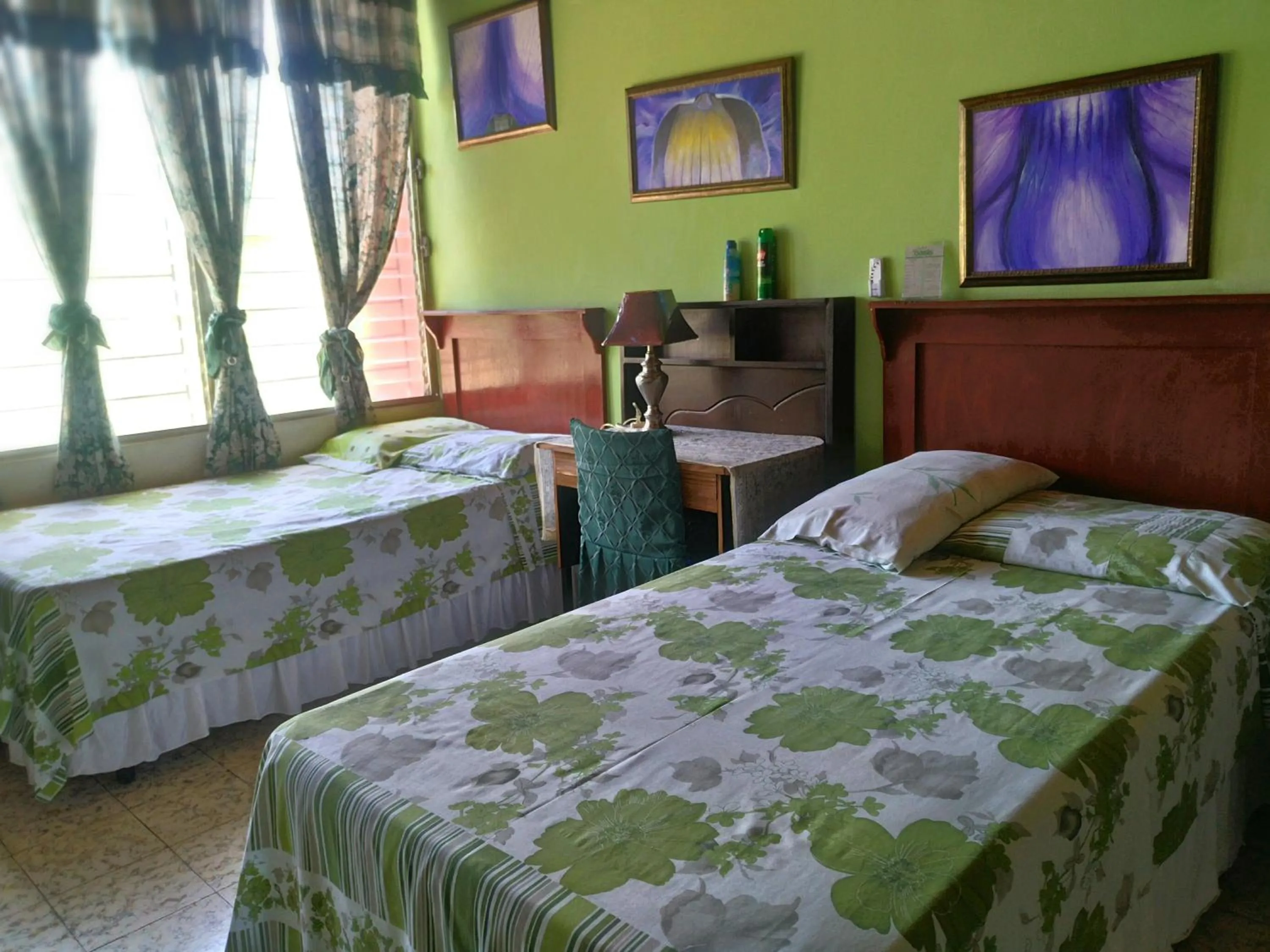 Quadruple Room with Shared Bathroom in Hotel Oasis