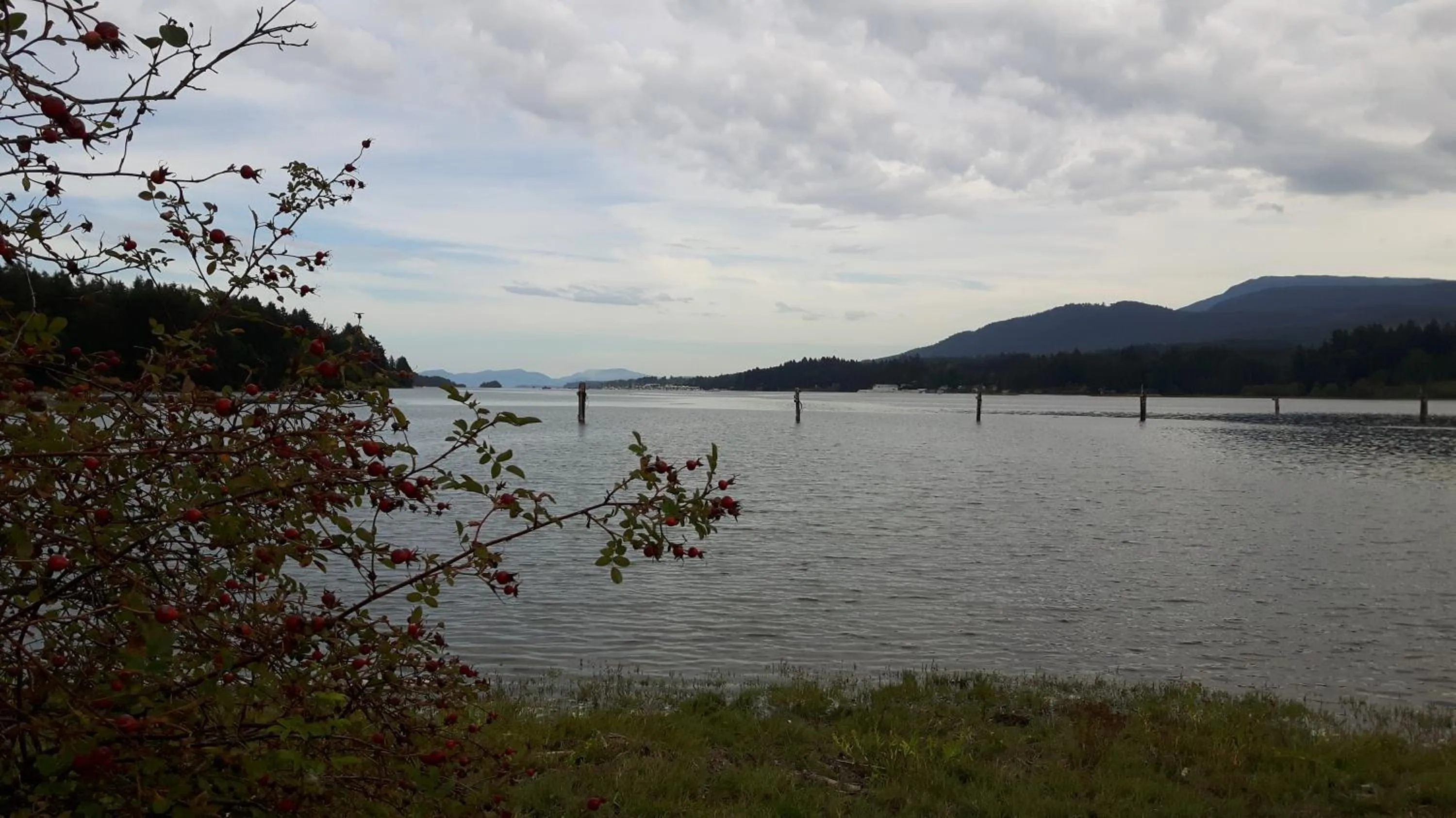 Mountain view in Kiwi Cove Lodge