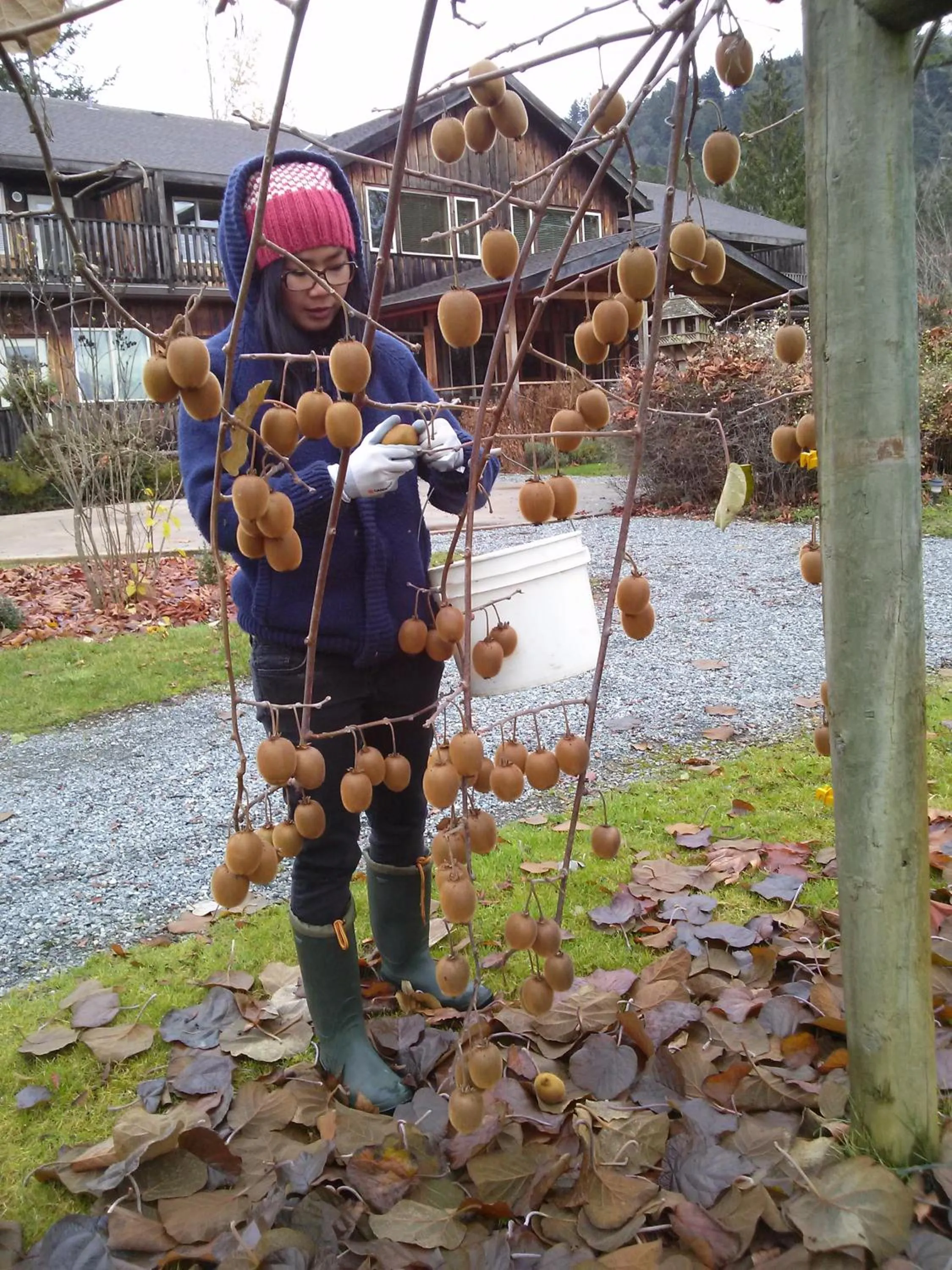 Activities in Kiwi Cove Lodge