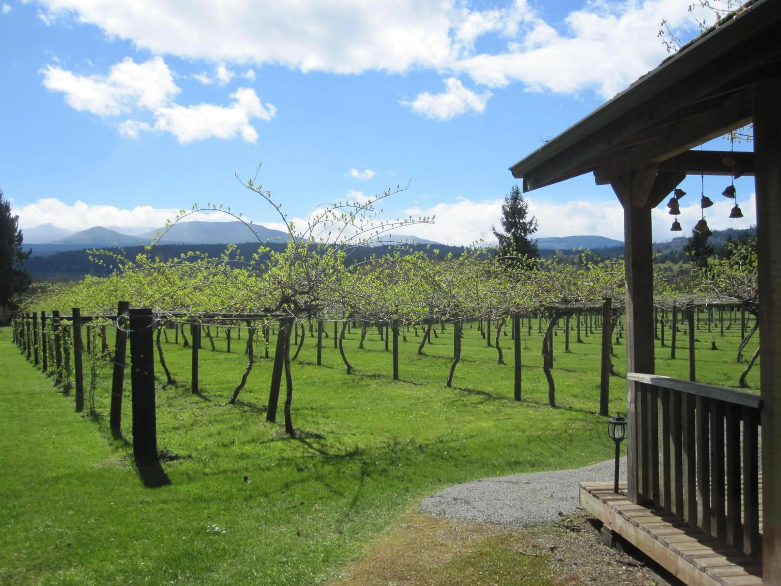 Garden view in Kiwi Cove Lodge