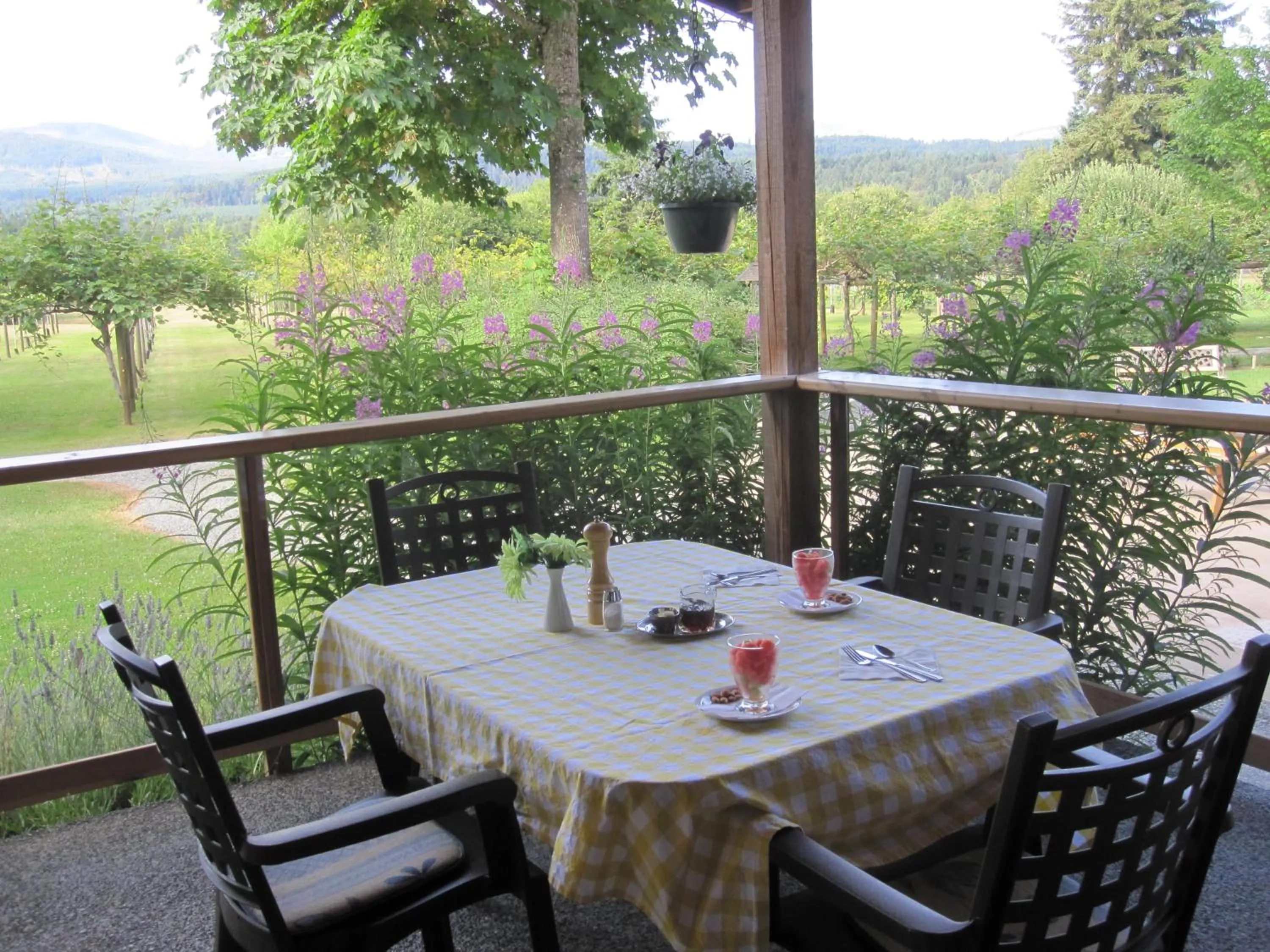 Time of day in Kiwi Cove Lodge