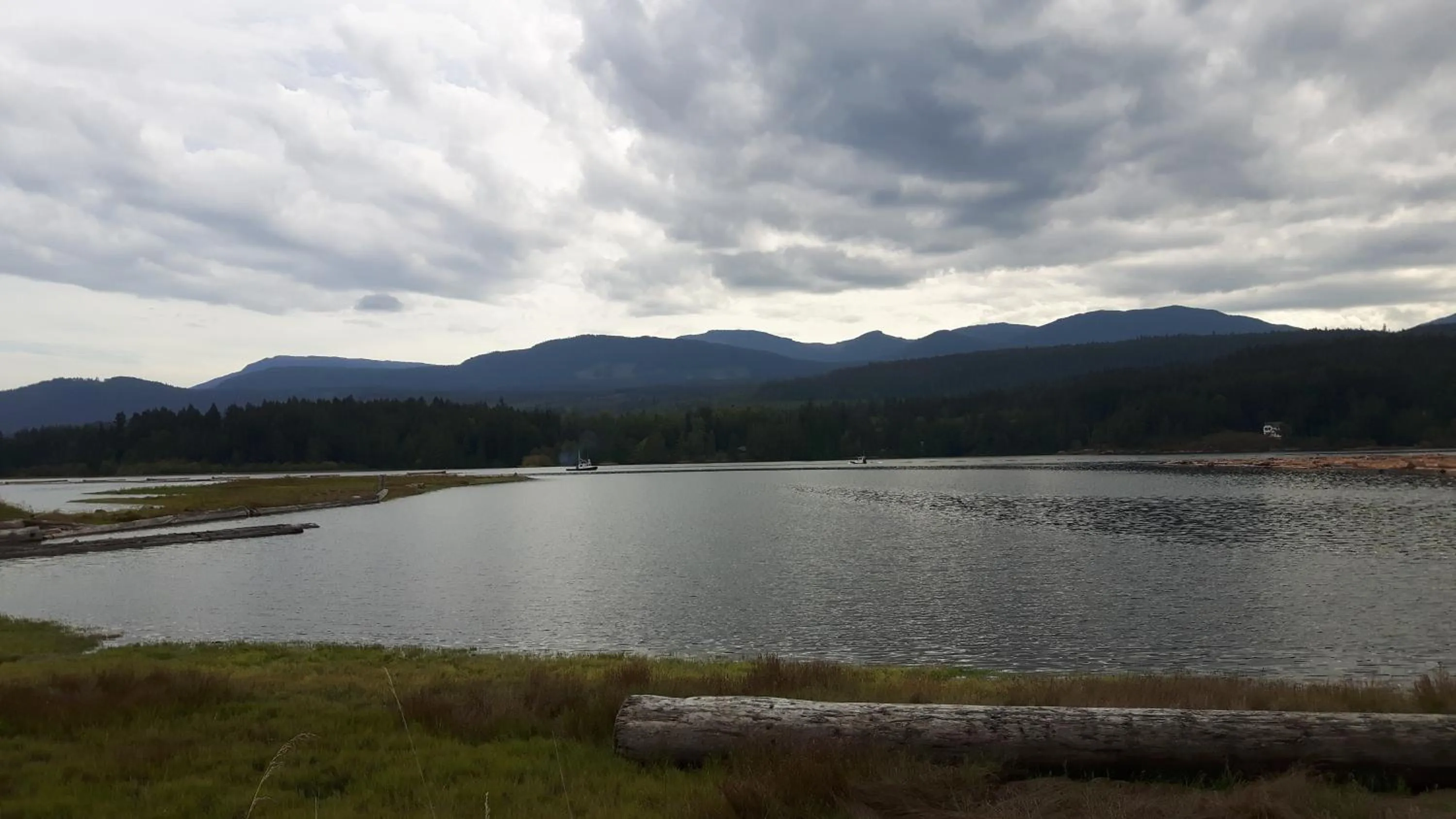 Natural landscape in Kiwi Cove Lodge