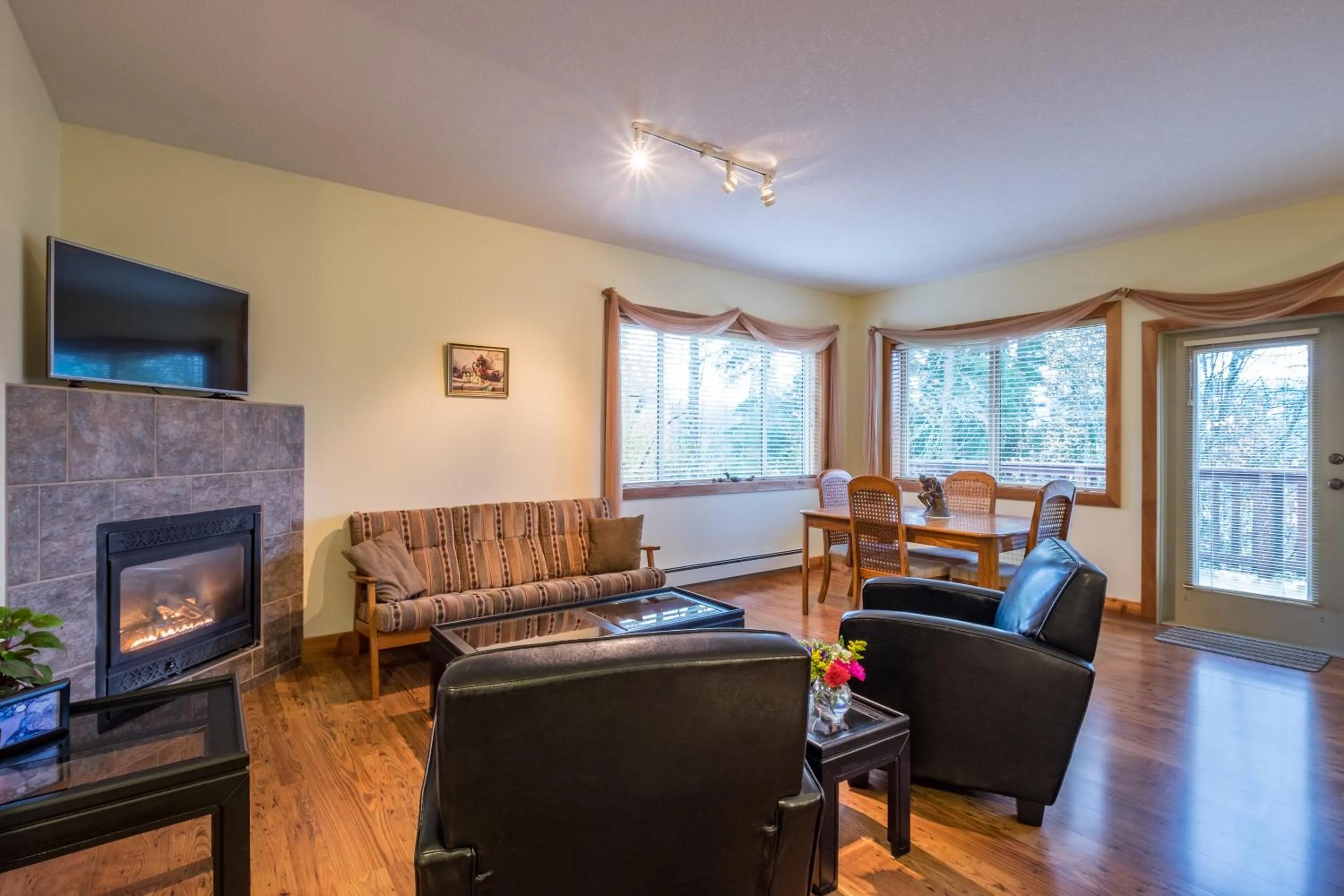 Photo of the whole room in Kiwi Cove Lodge