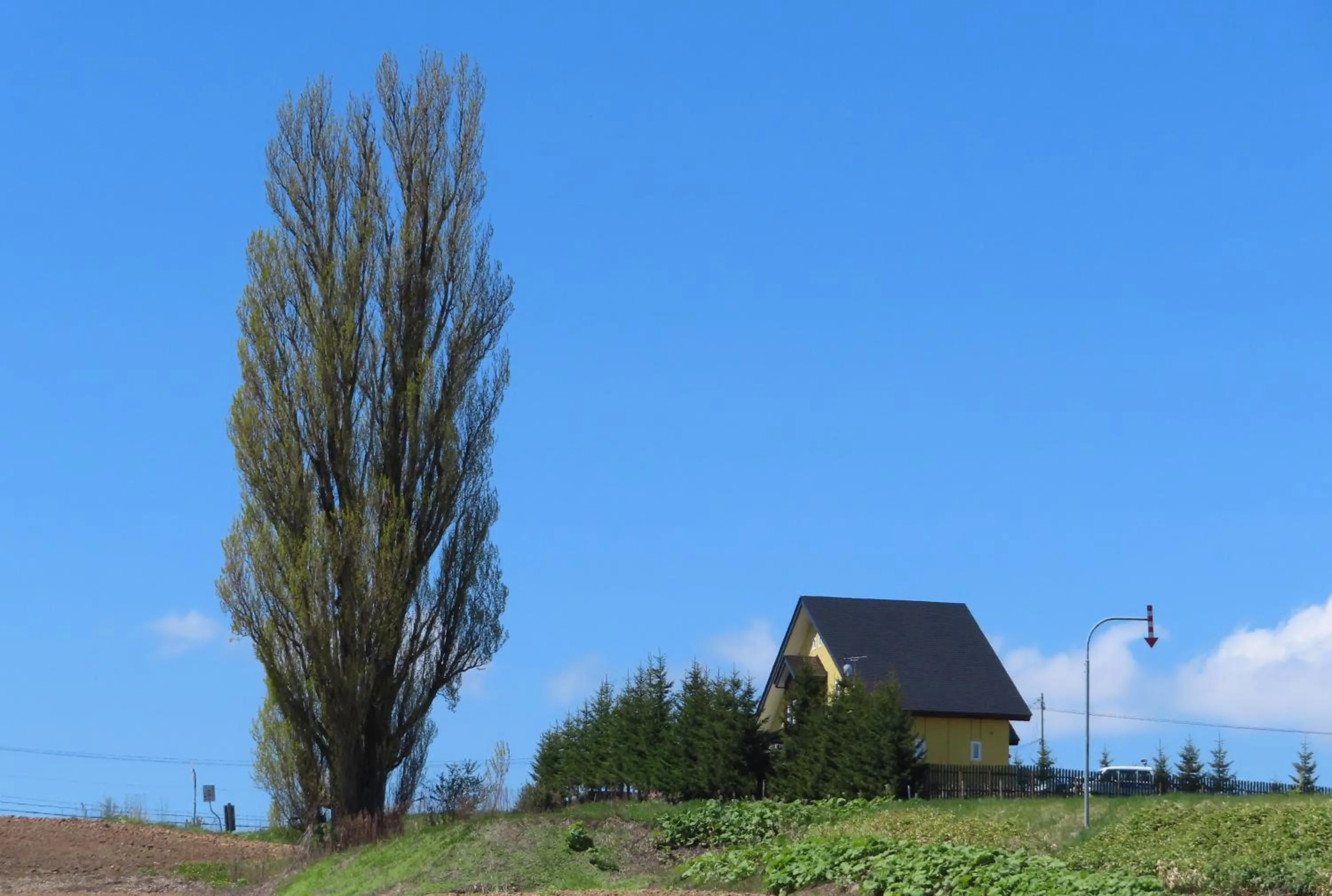 Property building in B&B Ken&Mary