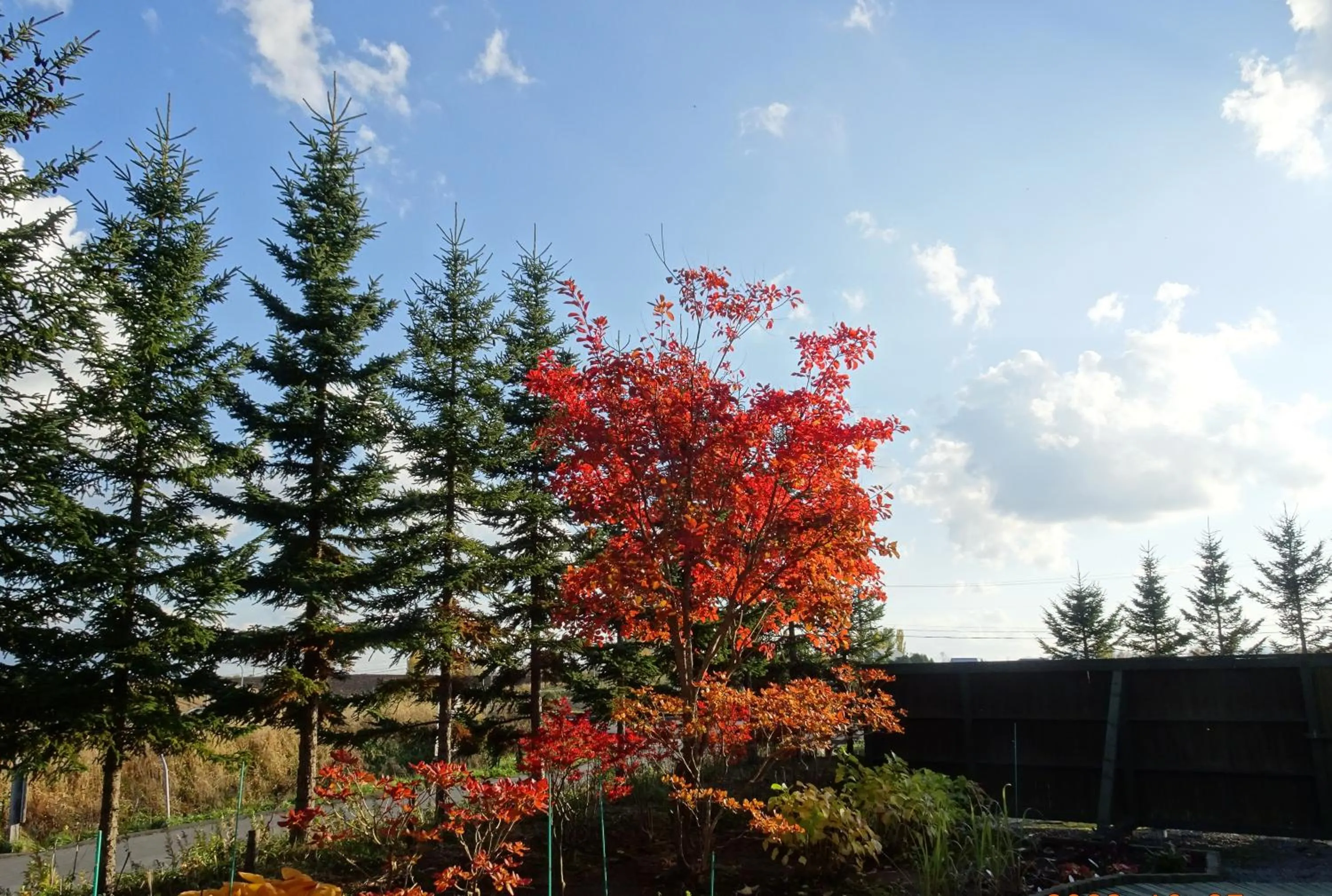 Natural landscape in B&B Ken&Mary