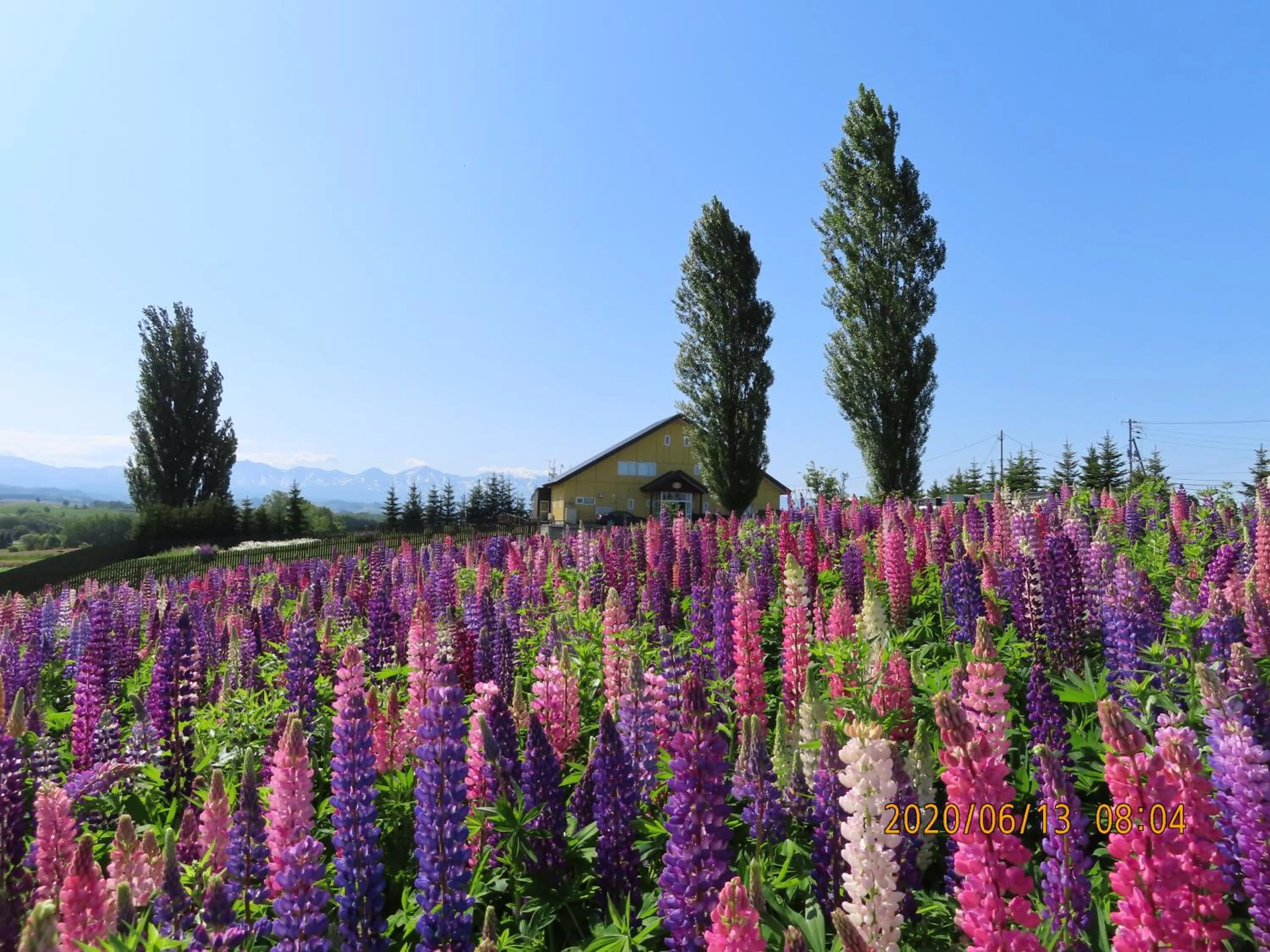 Garden in B&B Ken&Mary
