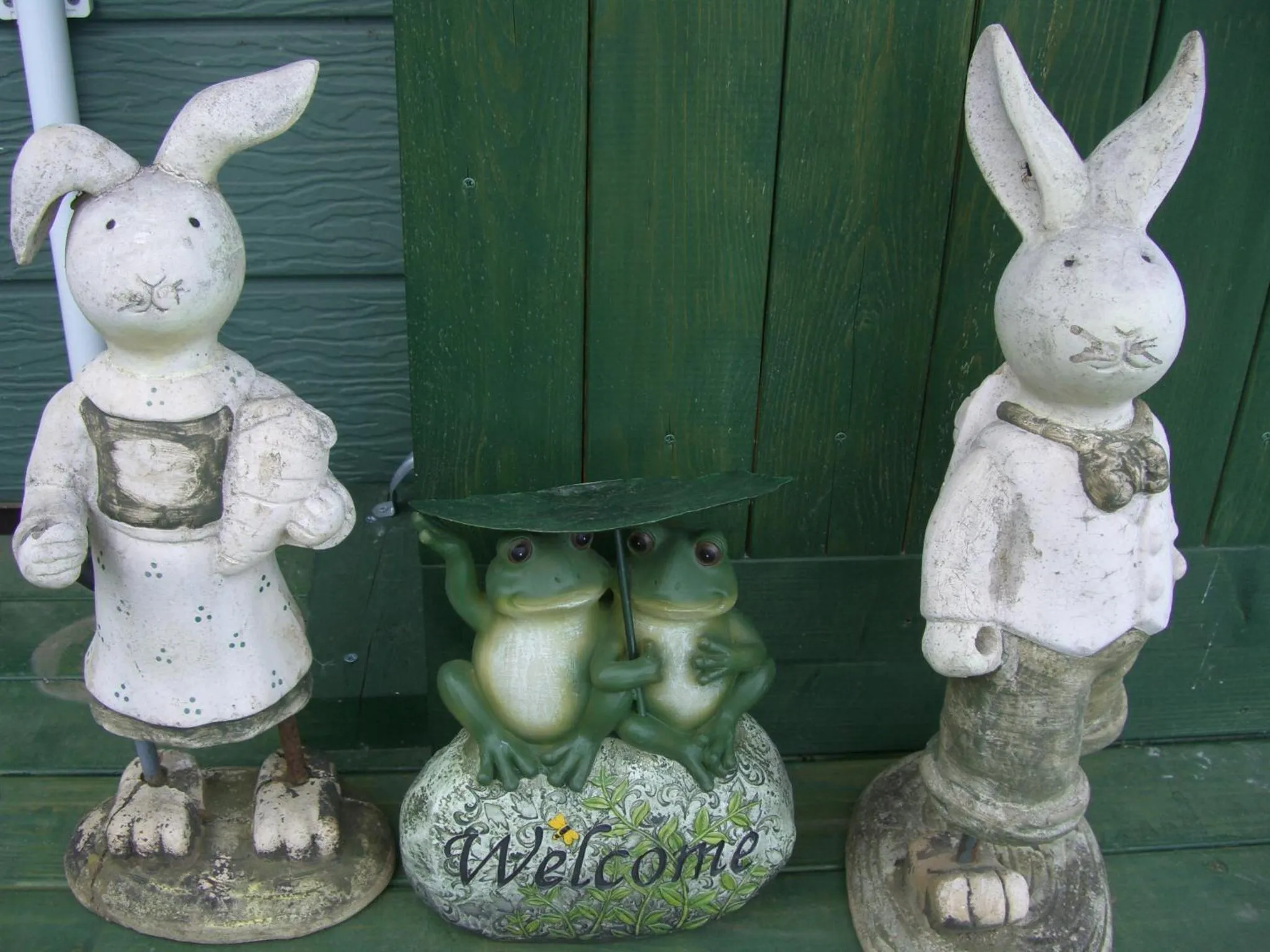 Area and facilities in B&B Ken&Mary