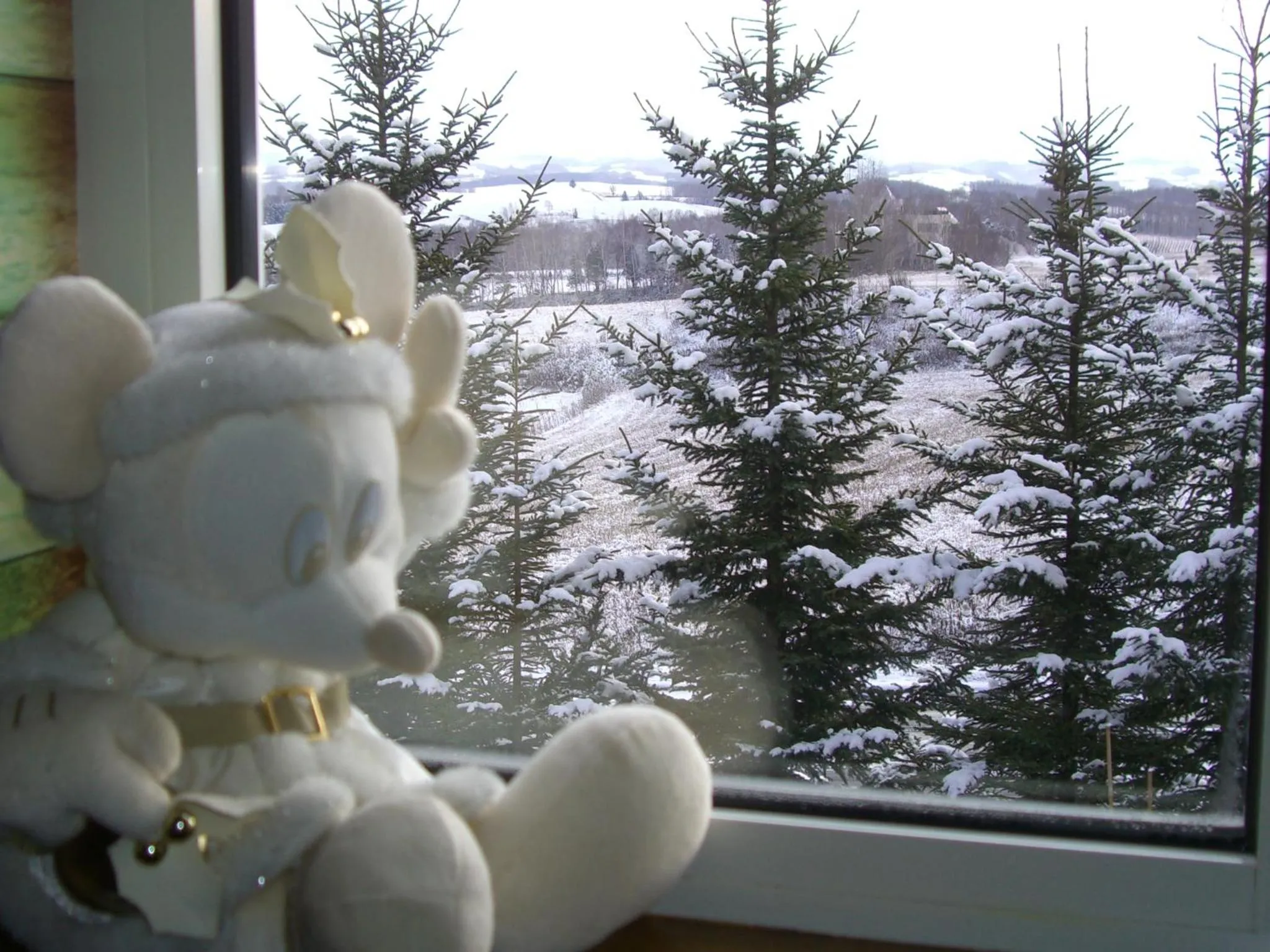 Winter in B&B Ken&Mary