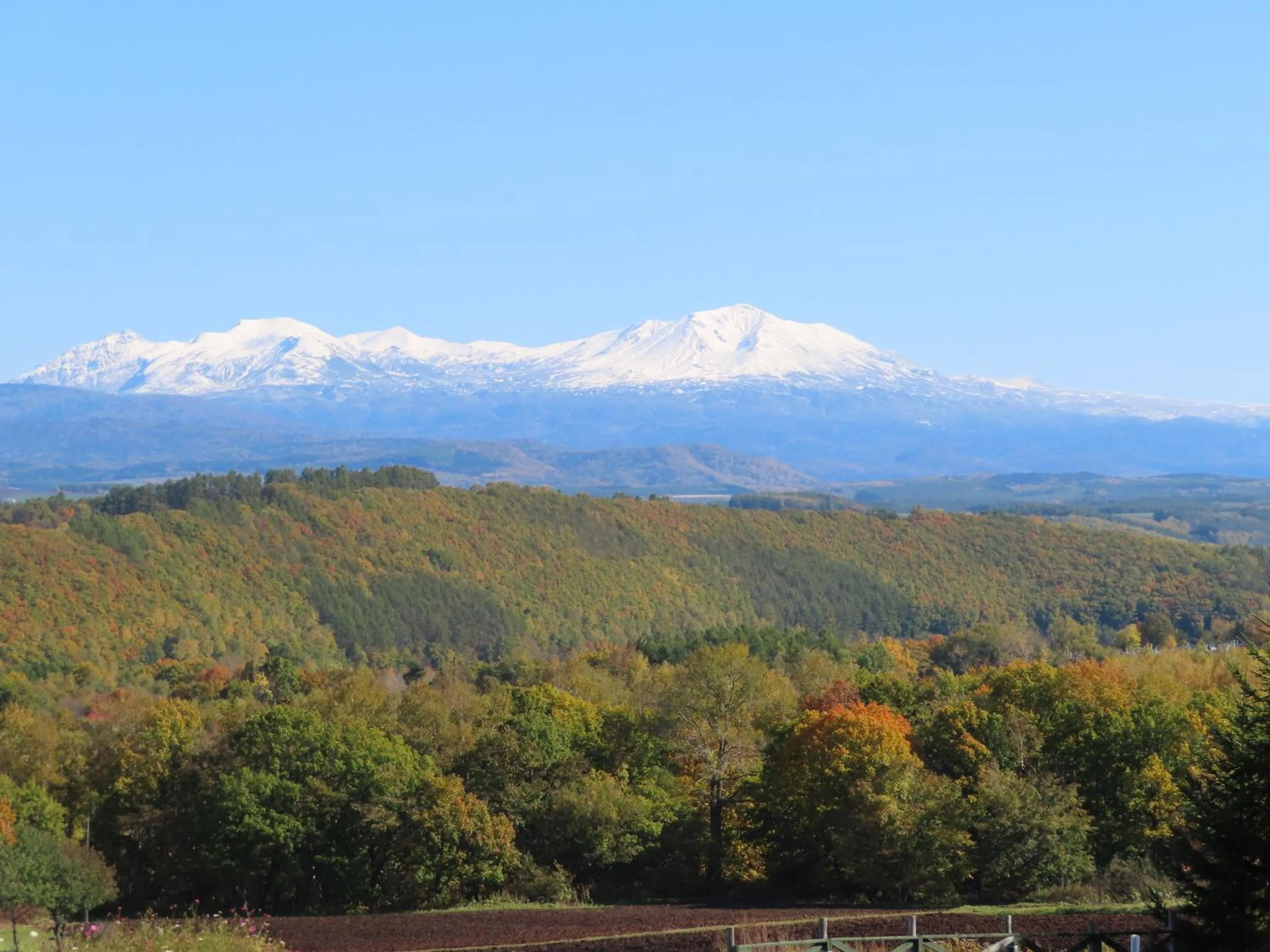 Natural landscape in B&B Ken&Mary
