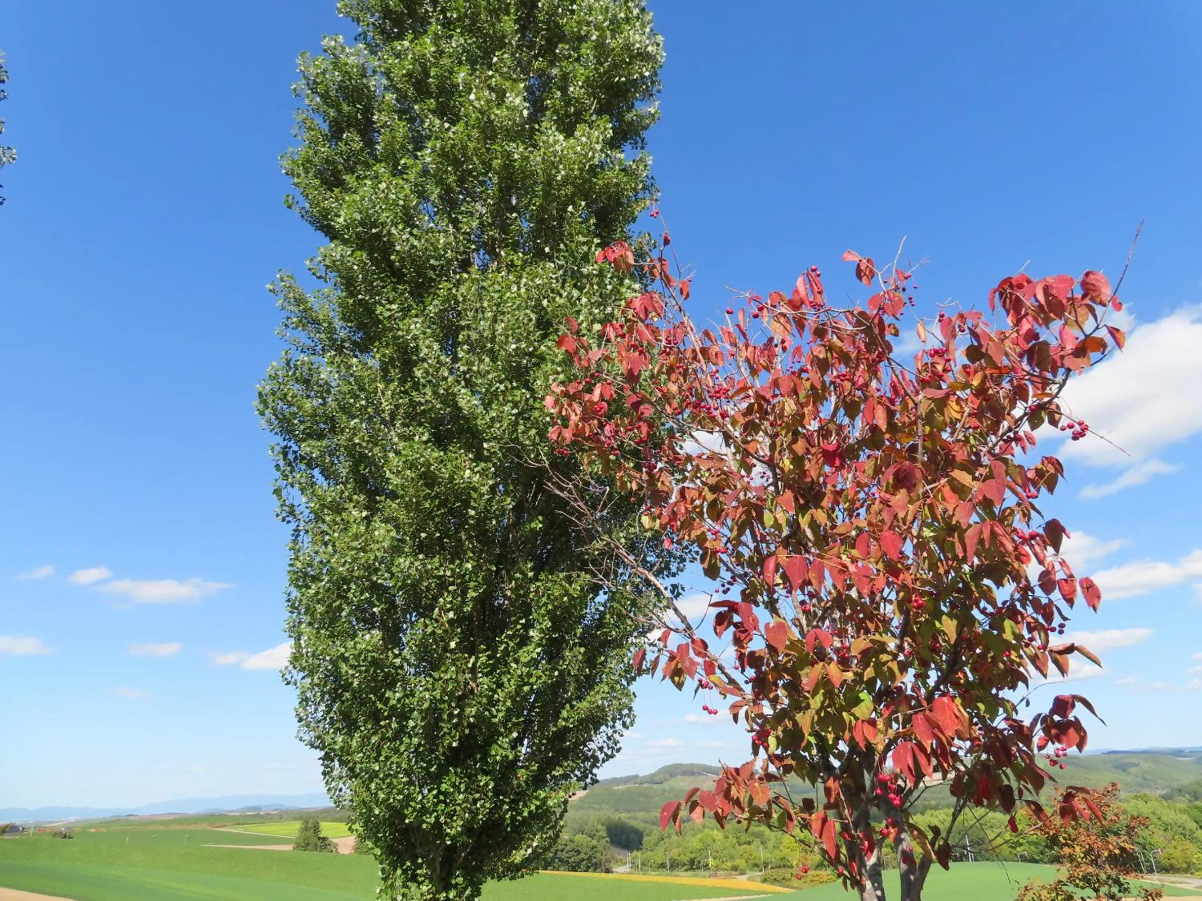 Natural landscape in B&B Ken&Mary